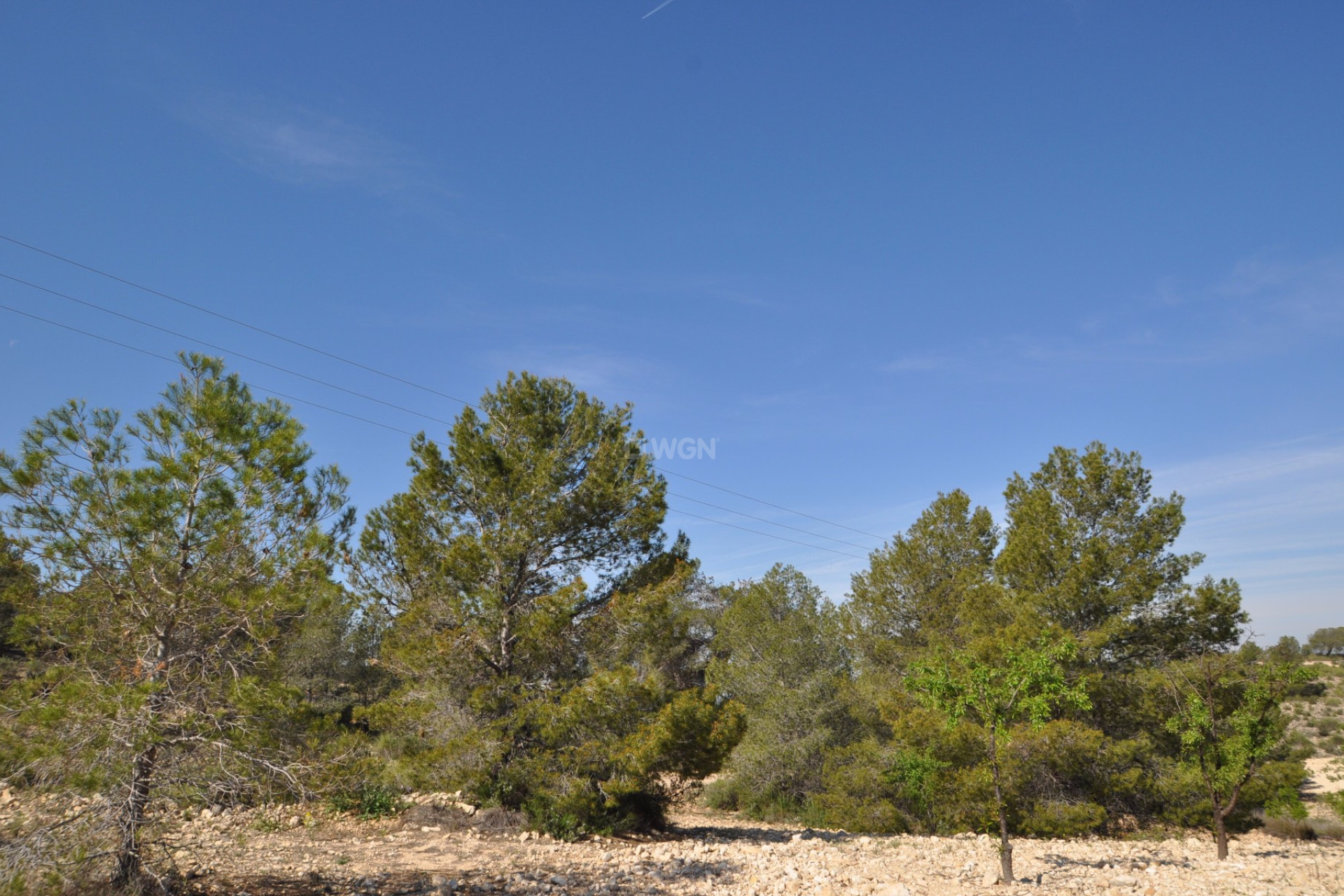 Reventa - Parcela / Terreno - La Zarza - Inland