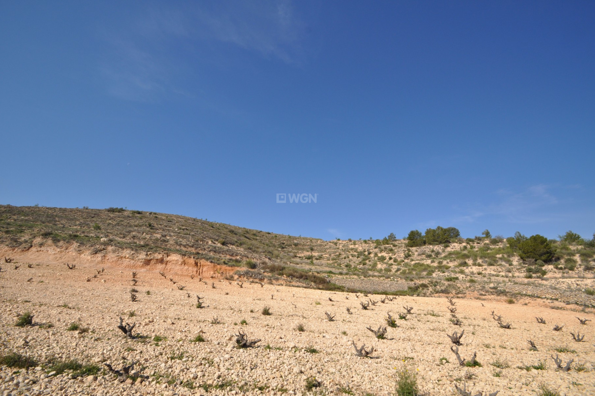 Reventa - Parcela / Terreno - La Zarza - Inland