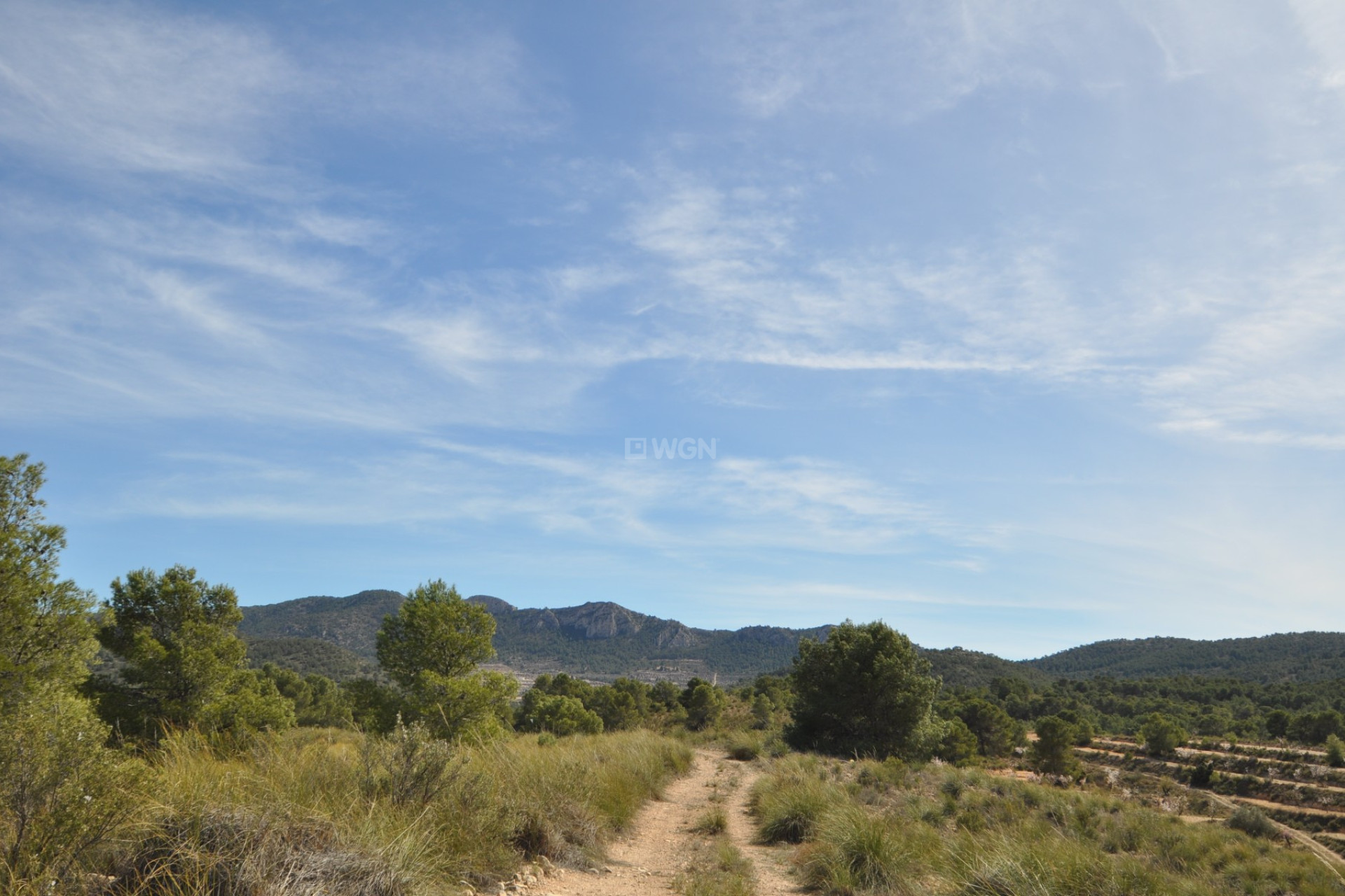 Reventa - Parcela / Terreno - La Zarza - Inland