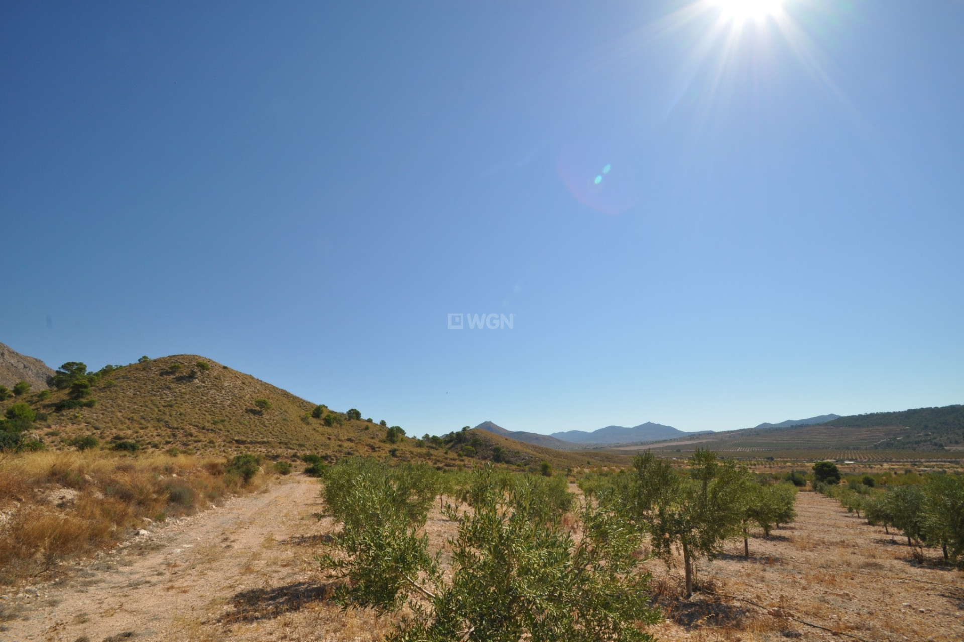 Reventa - Parcela / Terreno - Macisvenda - Inland