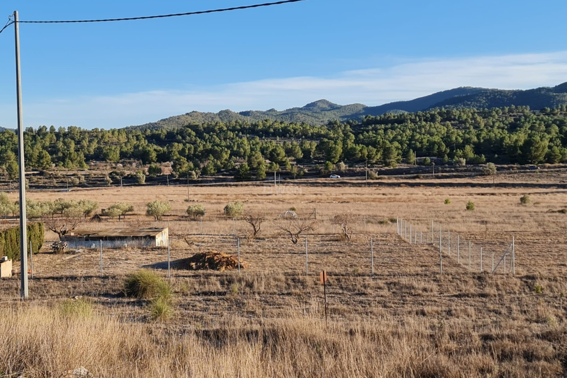 Reventa - Parcela / Terreno - Monóvar/Monóver - Inland