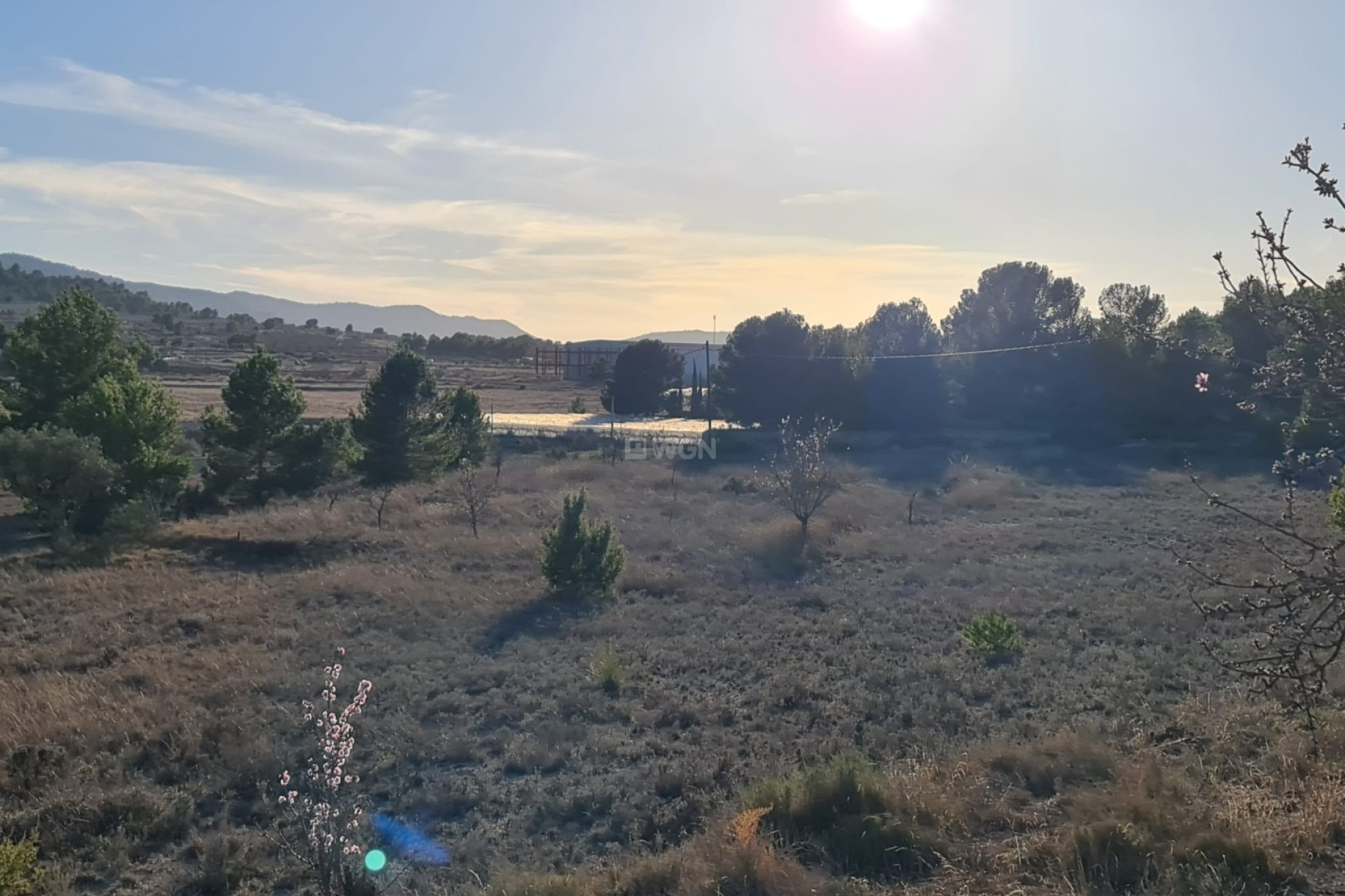 Reventa - Parcela / Terreno - Monóvar/Monóver - Inland