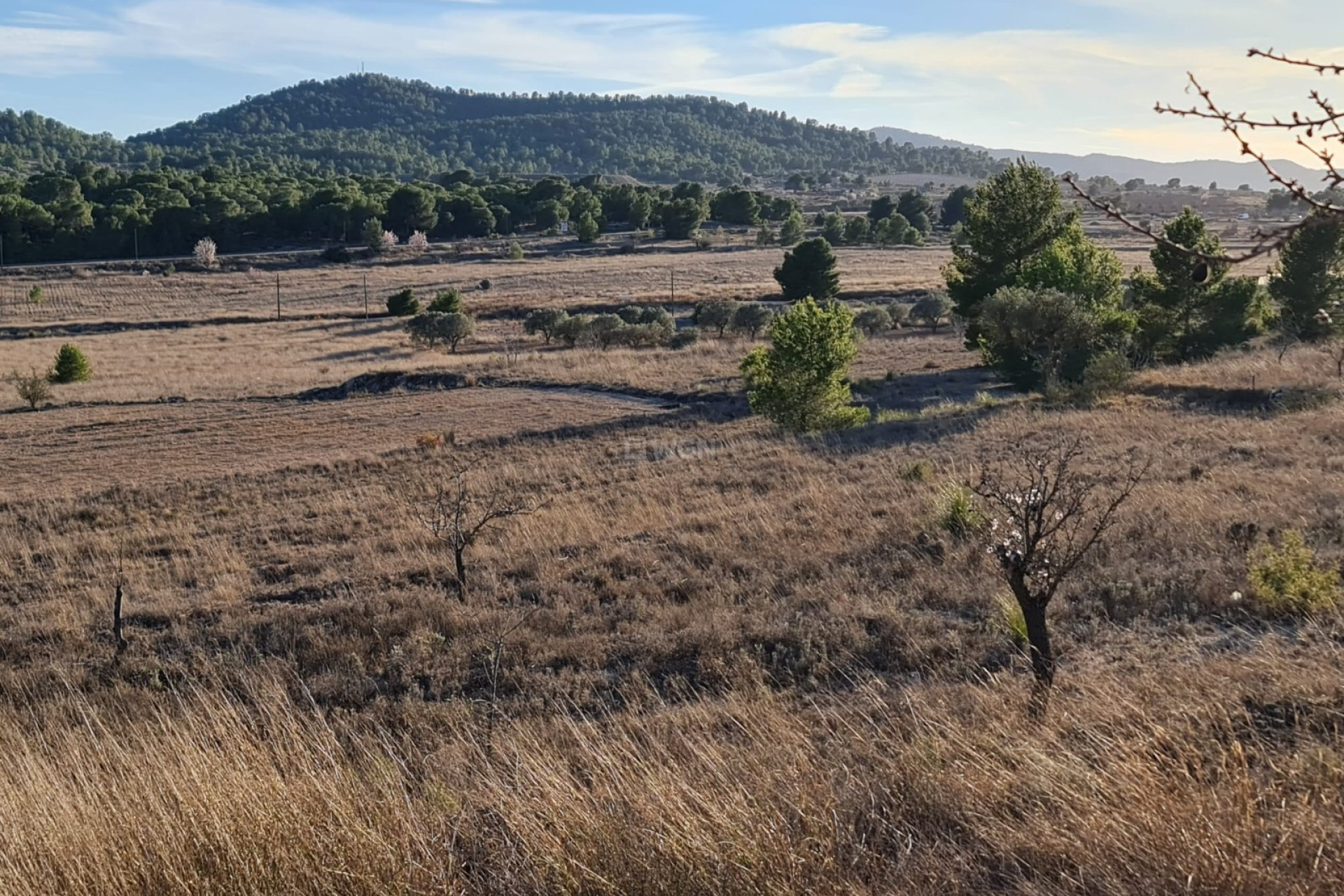 Reventa - Parcela / Terreno - Monóvar/Monóver - Inland