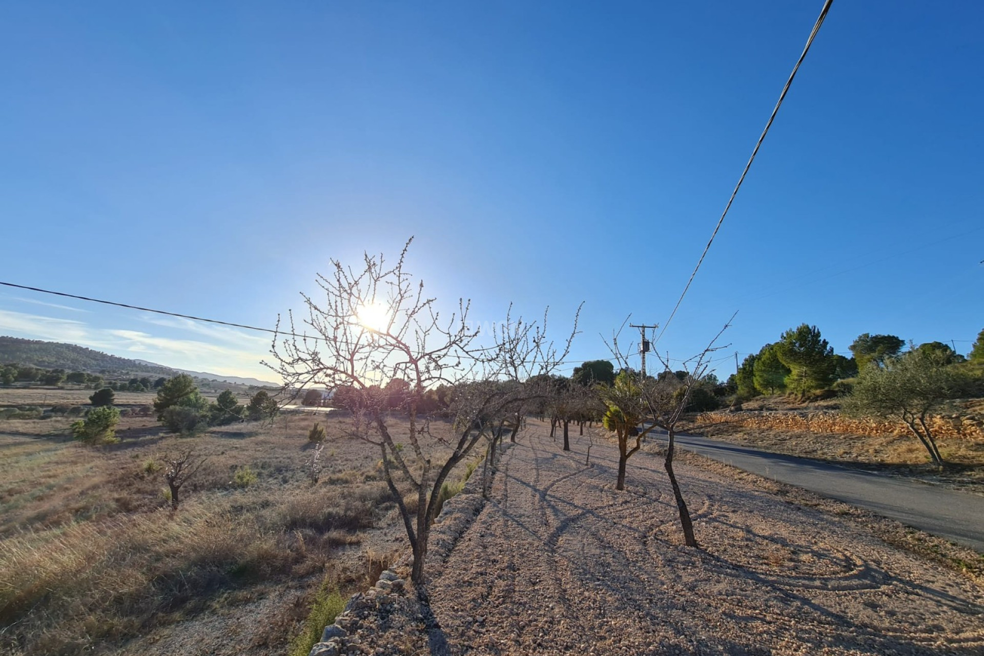 Reventa - Parcela / Terreno - Monóvar/Monóver - Inland
