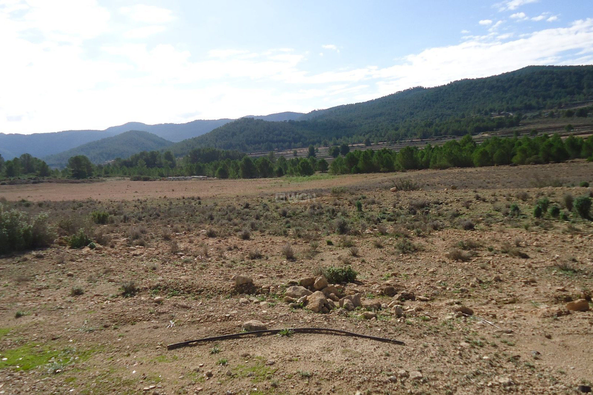 Reventa - Parcela / Terreno - Monóvar/Monóver - Inland