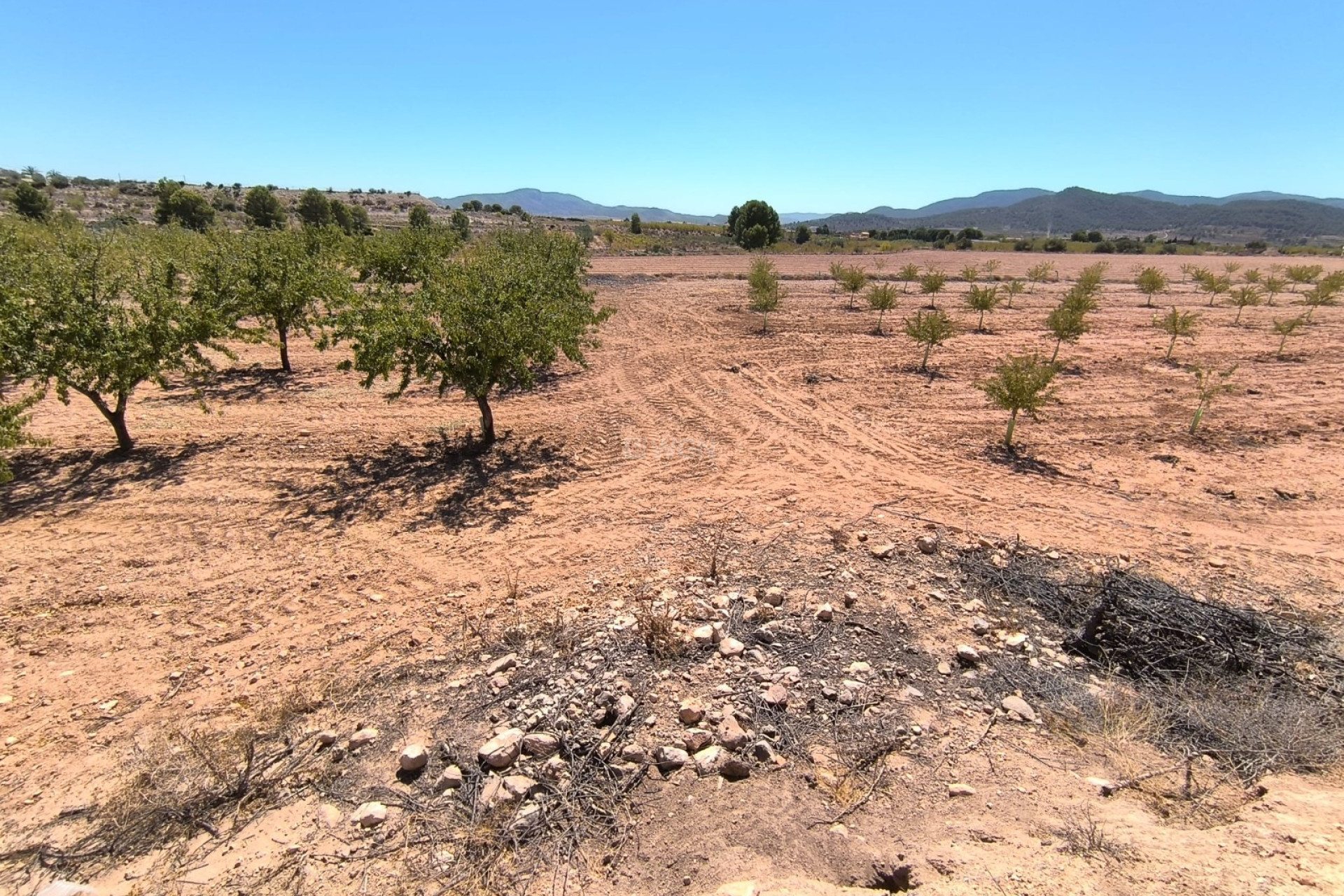 Reventa - Parcela / Terreno - Monóvar/Monóver - Inland
