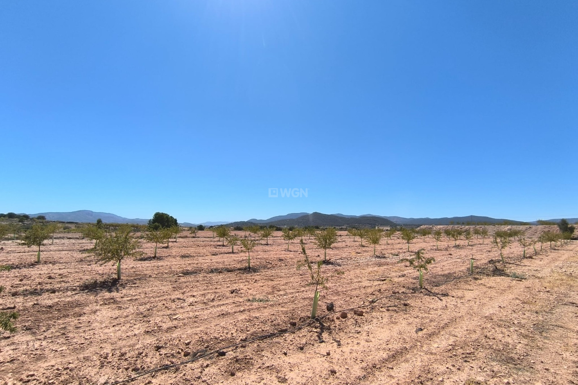 Reventa - Parcela / Terreno - Monóvar/Monóver - Inland