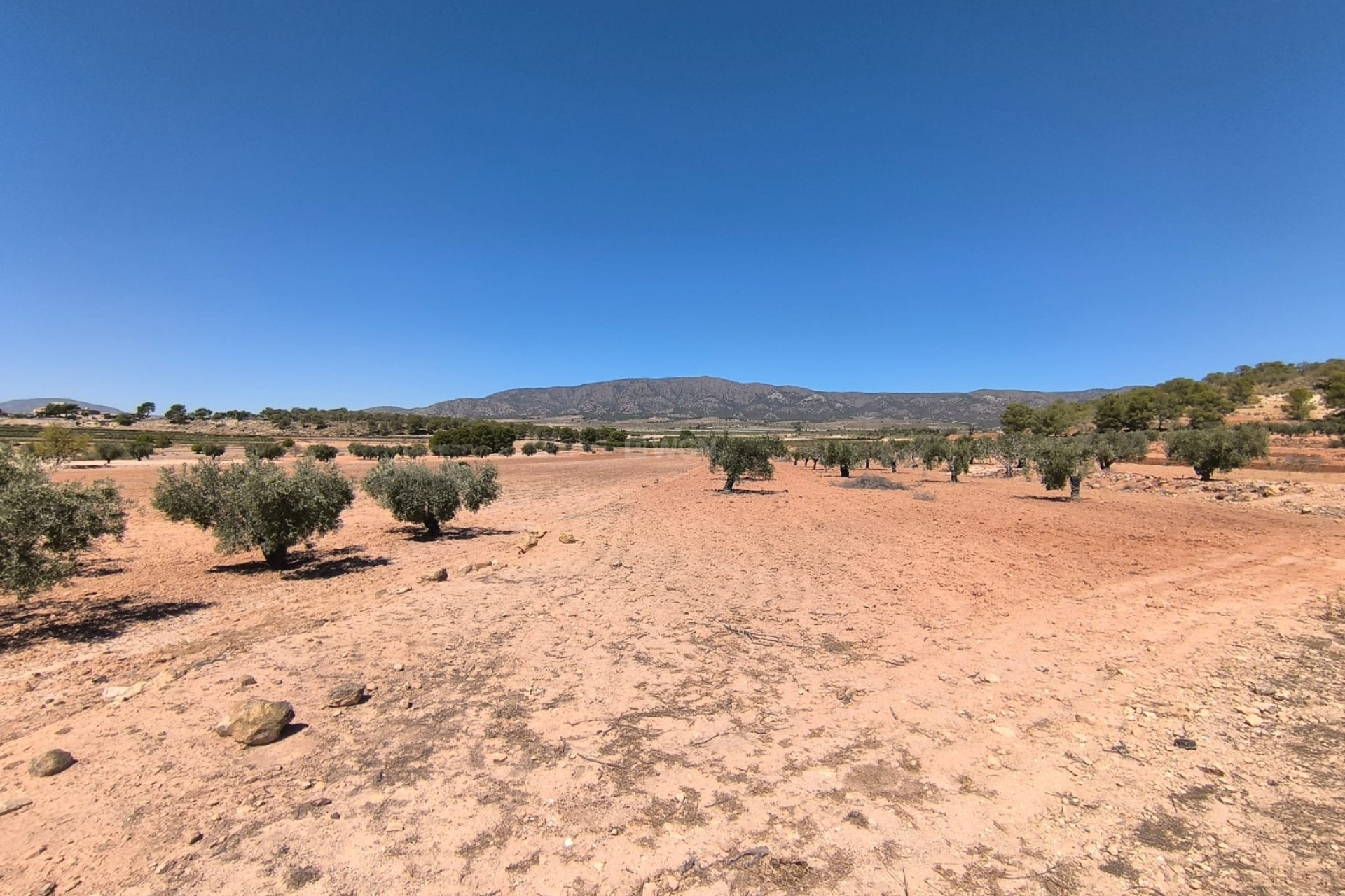 Reventa - Parcela / Terreno - Monóvar/Monóver - Inland