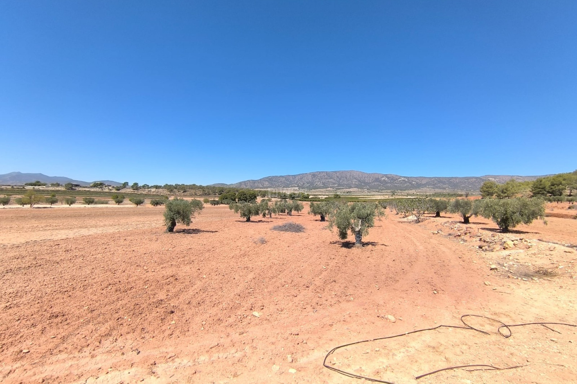 Reventa - Parcela / Terreno - Monóvar/Monóver - Inland