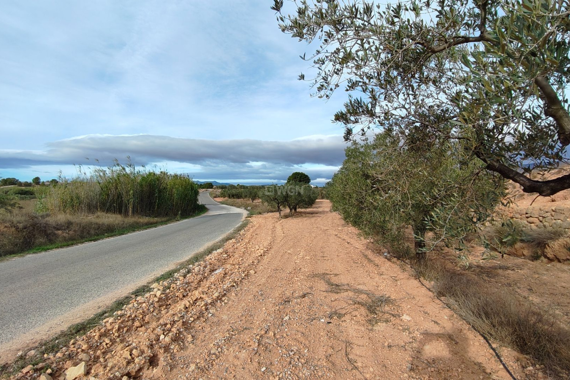 Reventa - Parcela / Terreno - Monóvar/Monóver - Inland