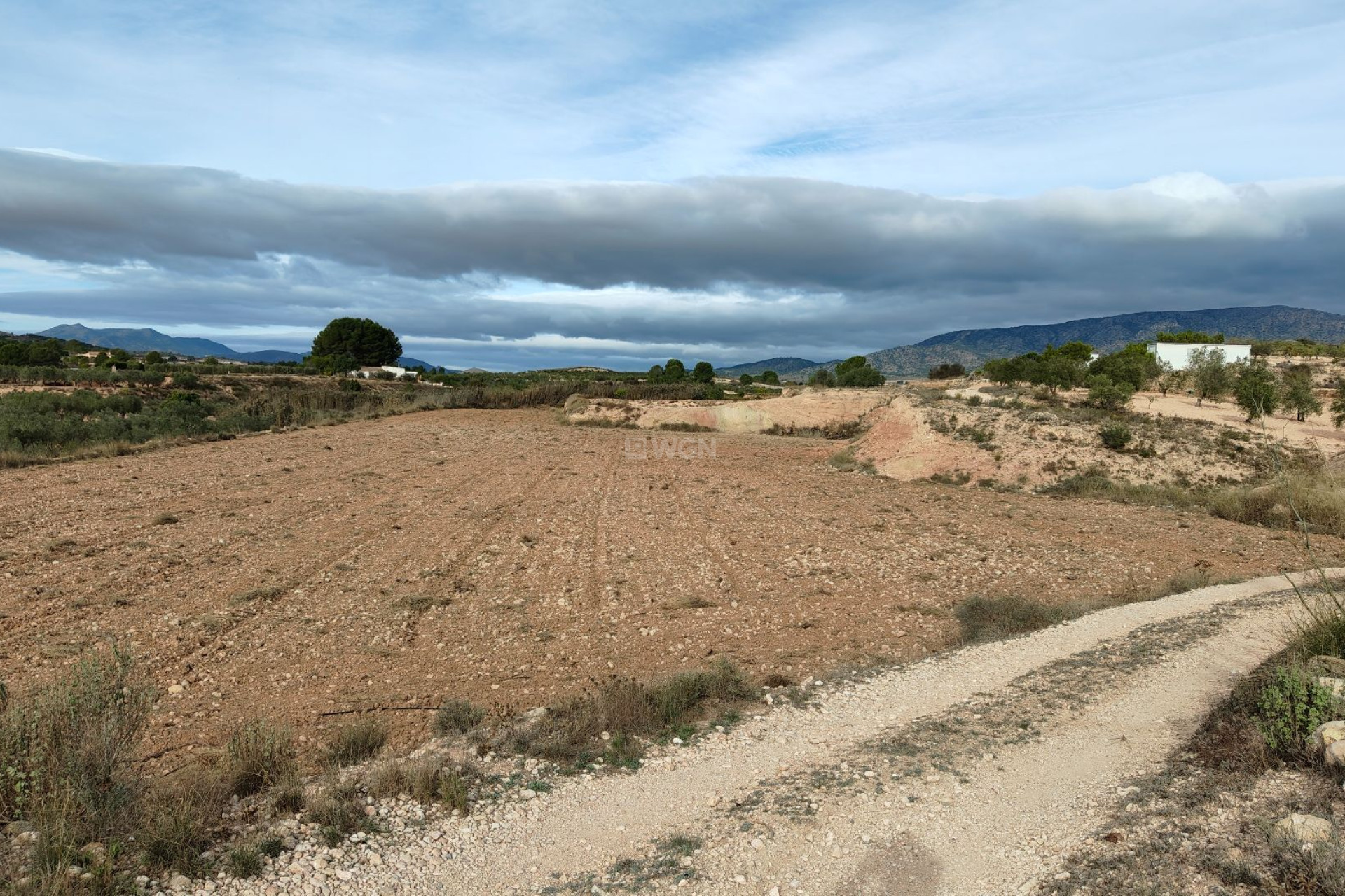 Reventa - Parcela / Terreno - Monóvar/Monóver - Inland