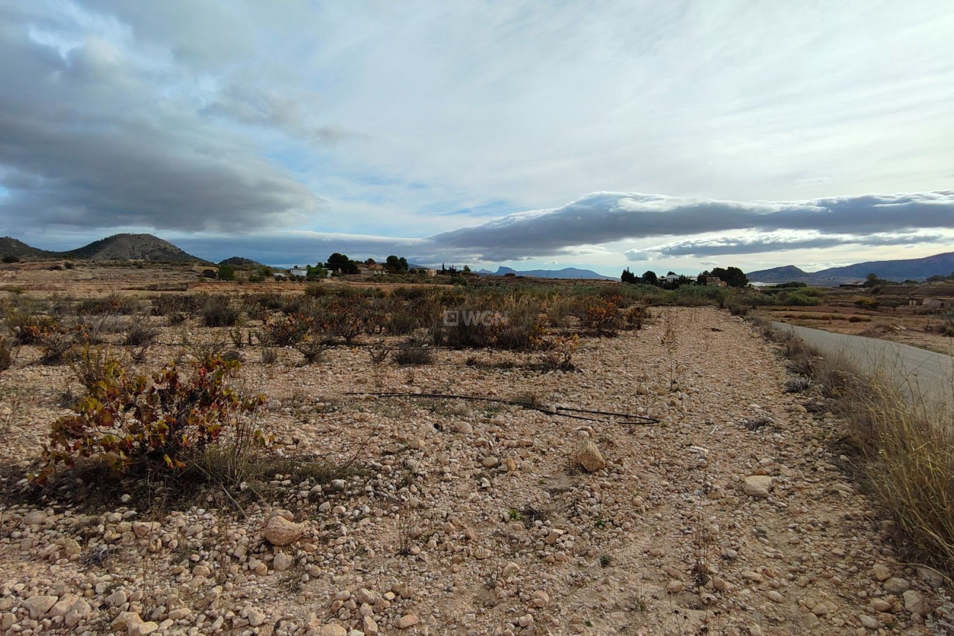 Reventa - Parcela / Terreno - Monóvar/Monóver - Inland