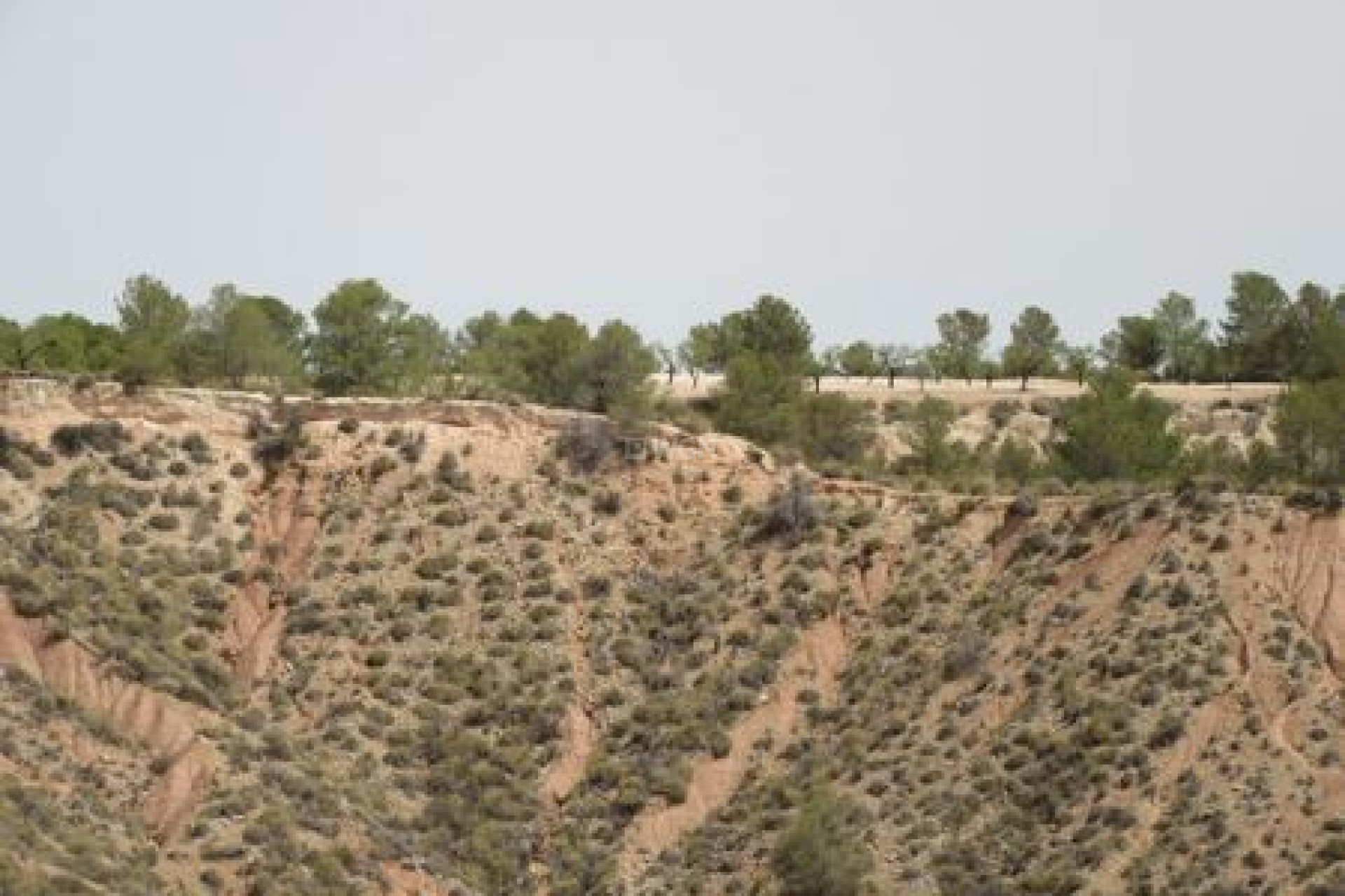 Reventa - Parcela / Terreno - Murcia - Inland