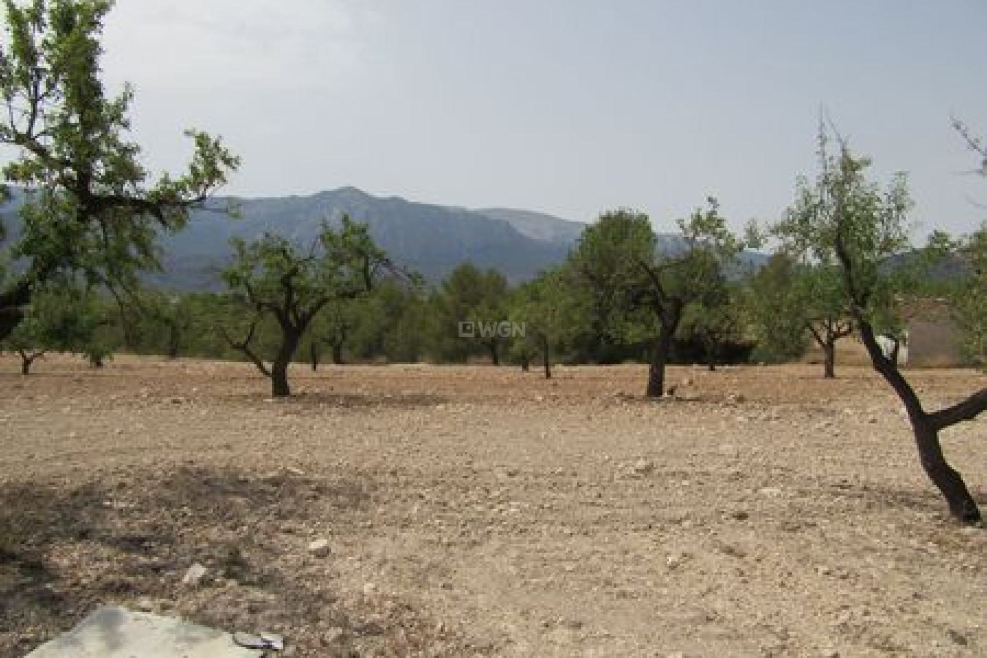Reventa - Parcela / Terreno - Murcia - Inland