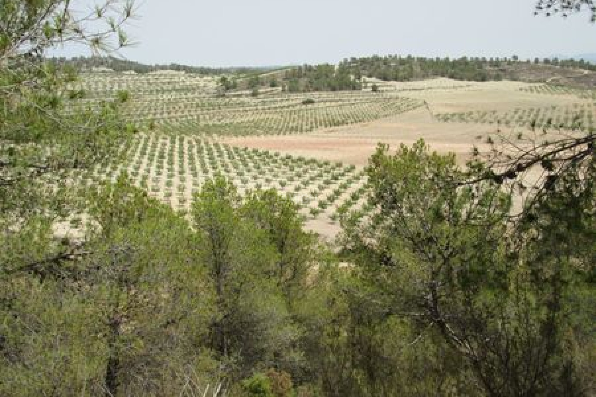 Reventa - Parcela / Terreno - Murcia - Inland