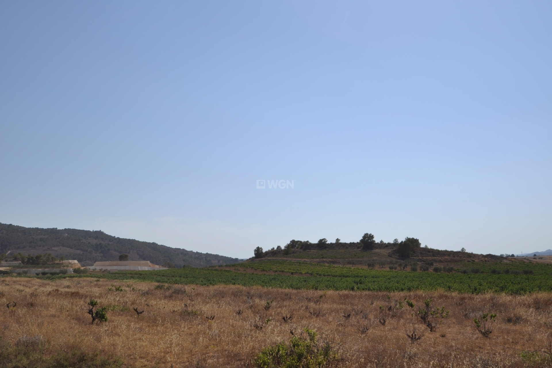 Reventa - Parcela / Terreno - Pinoso - Inland