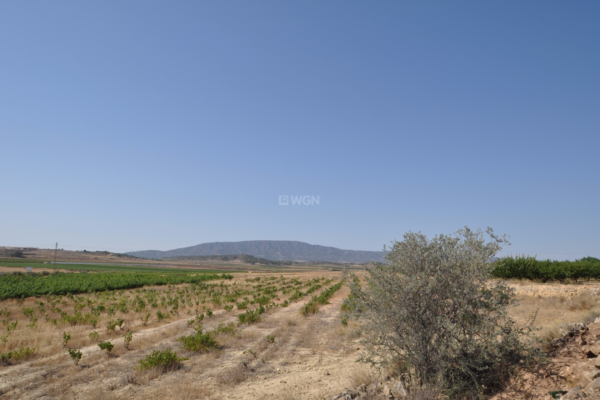 Reventa - Parcela / Terreno - Pinoso - Inland