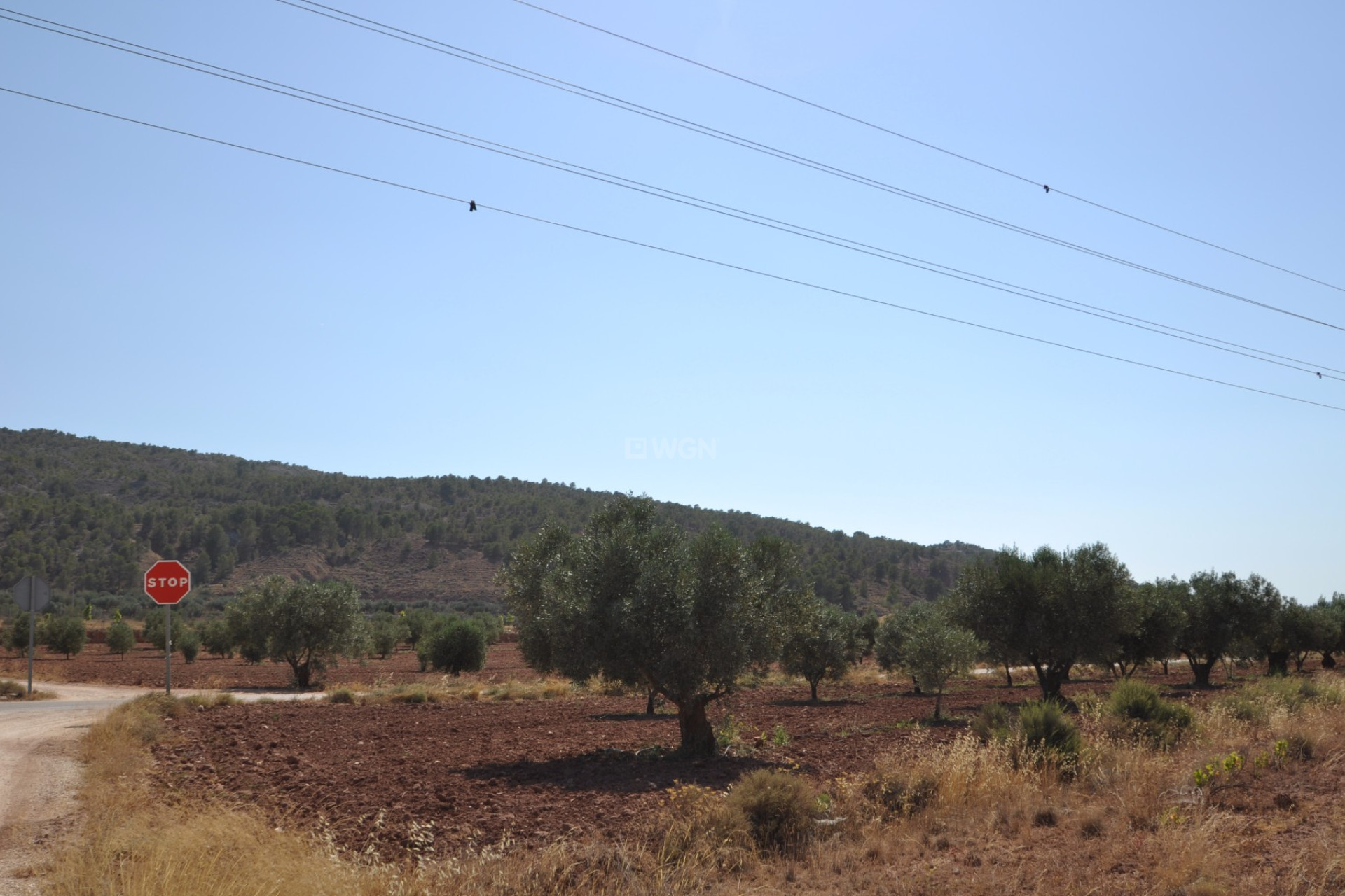 Reventa - Parcela / Terreno - Pinoso - Inland