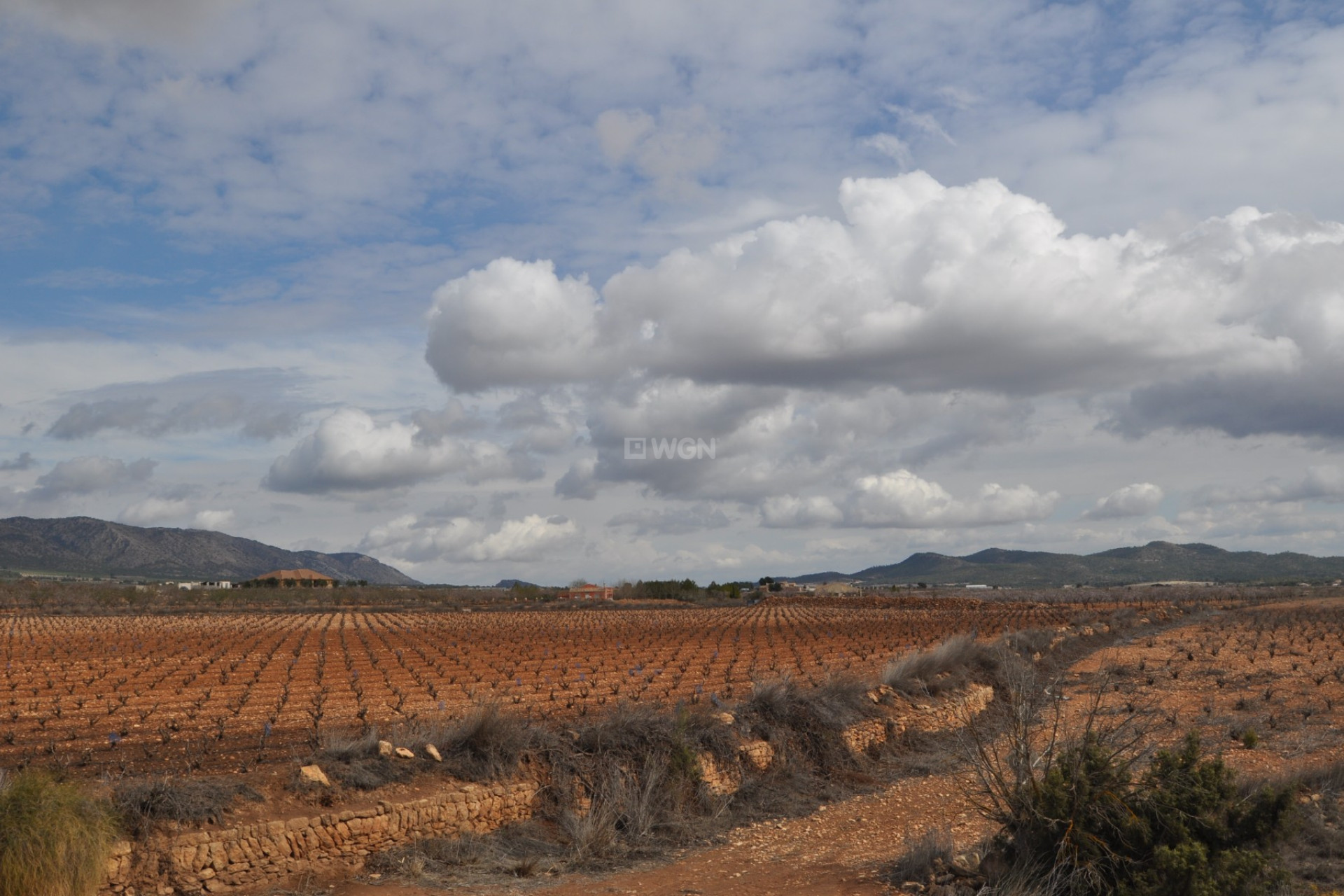 Reventa - Parcela / Terreno - Pinoso - Inland