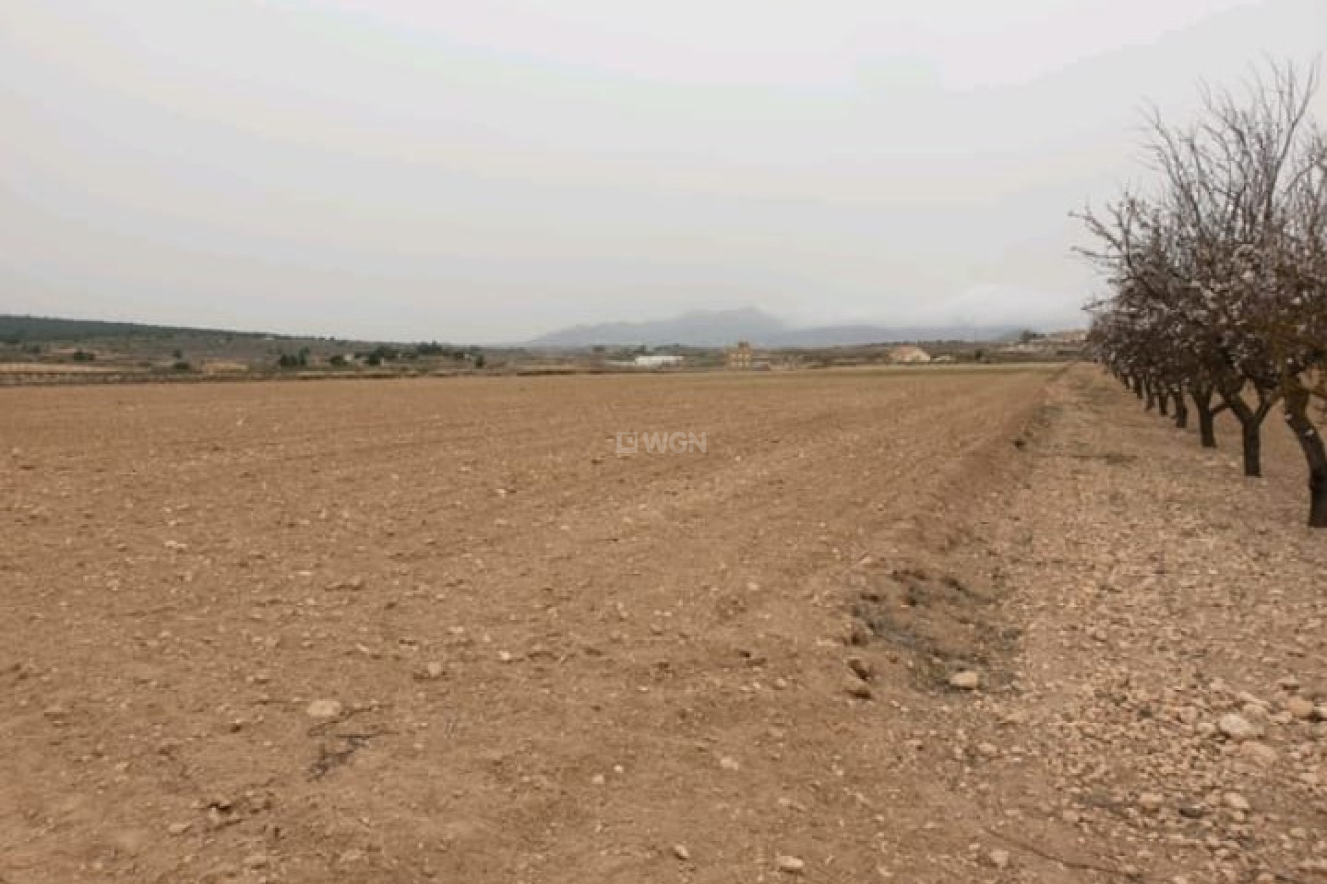 Reventa - Parcela / Terreno - Pinoso - Inland