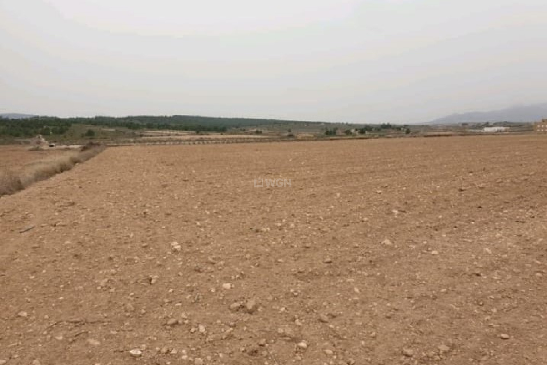 Reventa - Parcela / Terreno - Pinoso - Inland