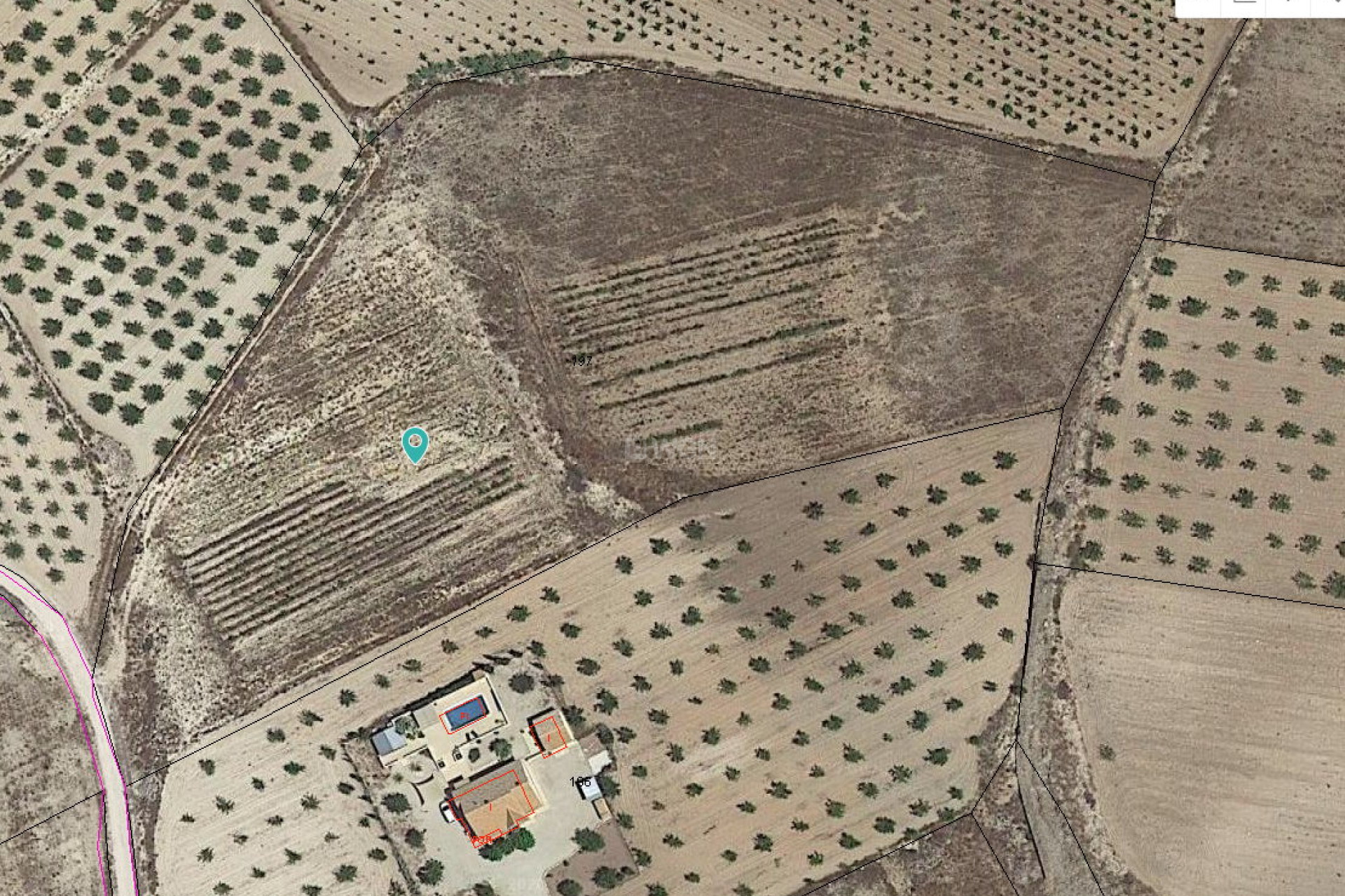 Reventa - Parcela / Terreno - Pinoso - Inland