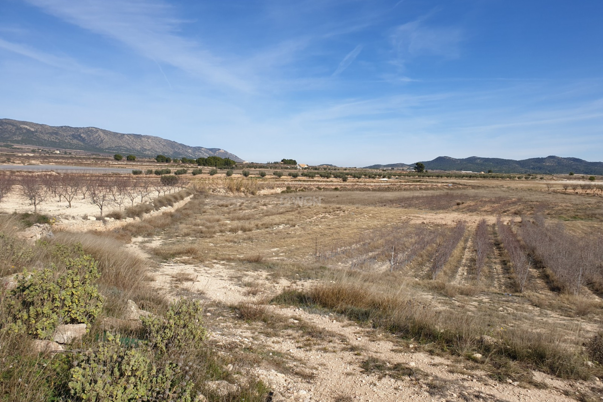 Reventa - Parcela / Terreno - Pinoso - Inland
