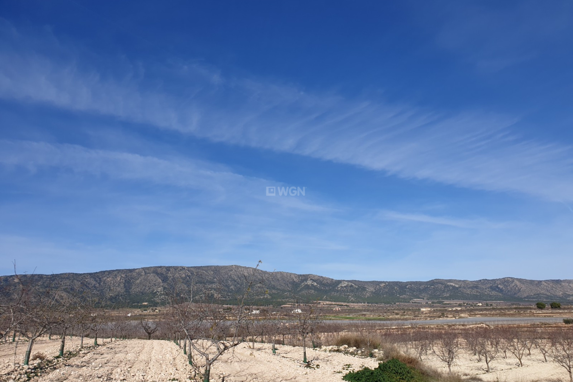 Reventa - Parcela / Terreno - Pinoso - Inland