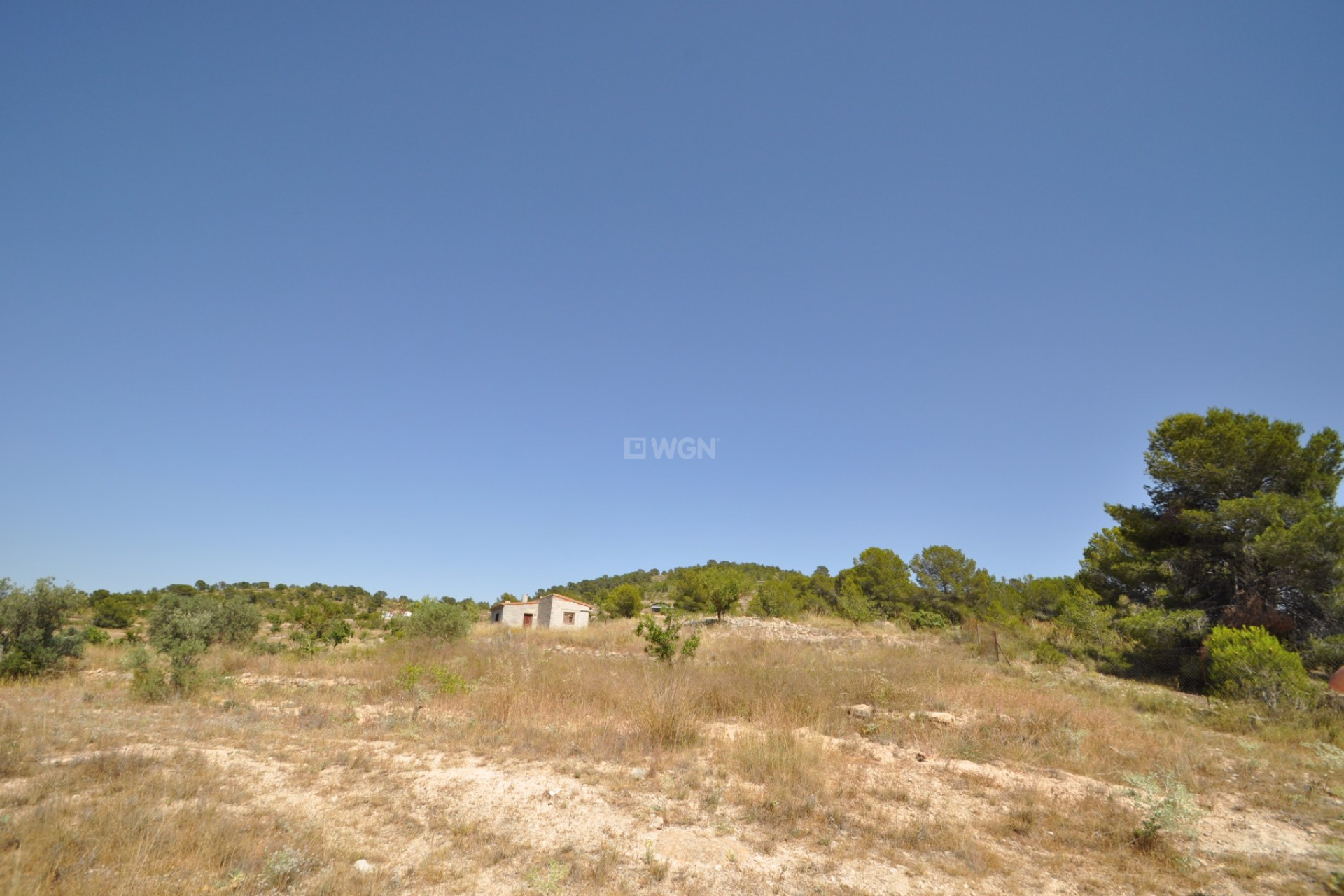 Reventa - Parcela / Terreno - Pinoso - Inland