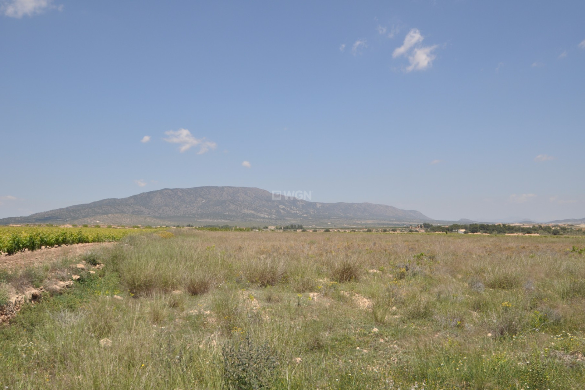 Reventa - Parcela / Terreno - Pinoso - Inland