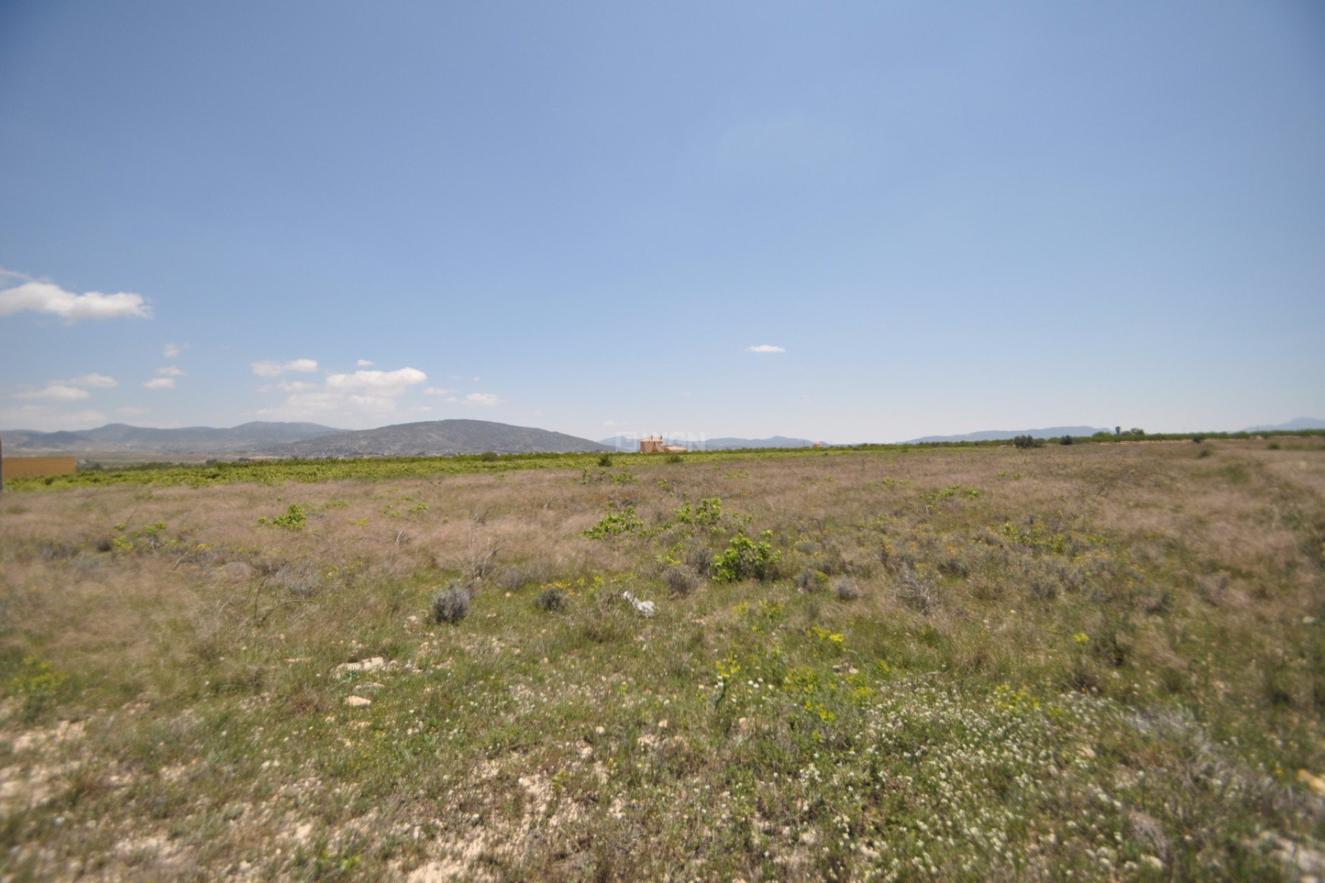 Reventa - Parcela / Terreno - Pinoso - Inland