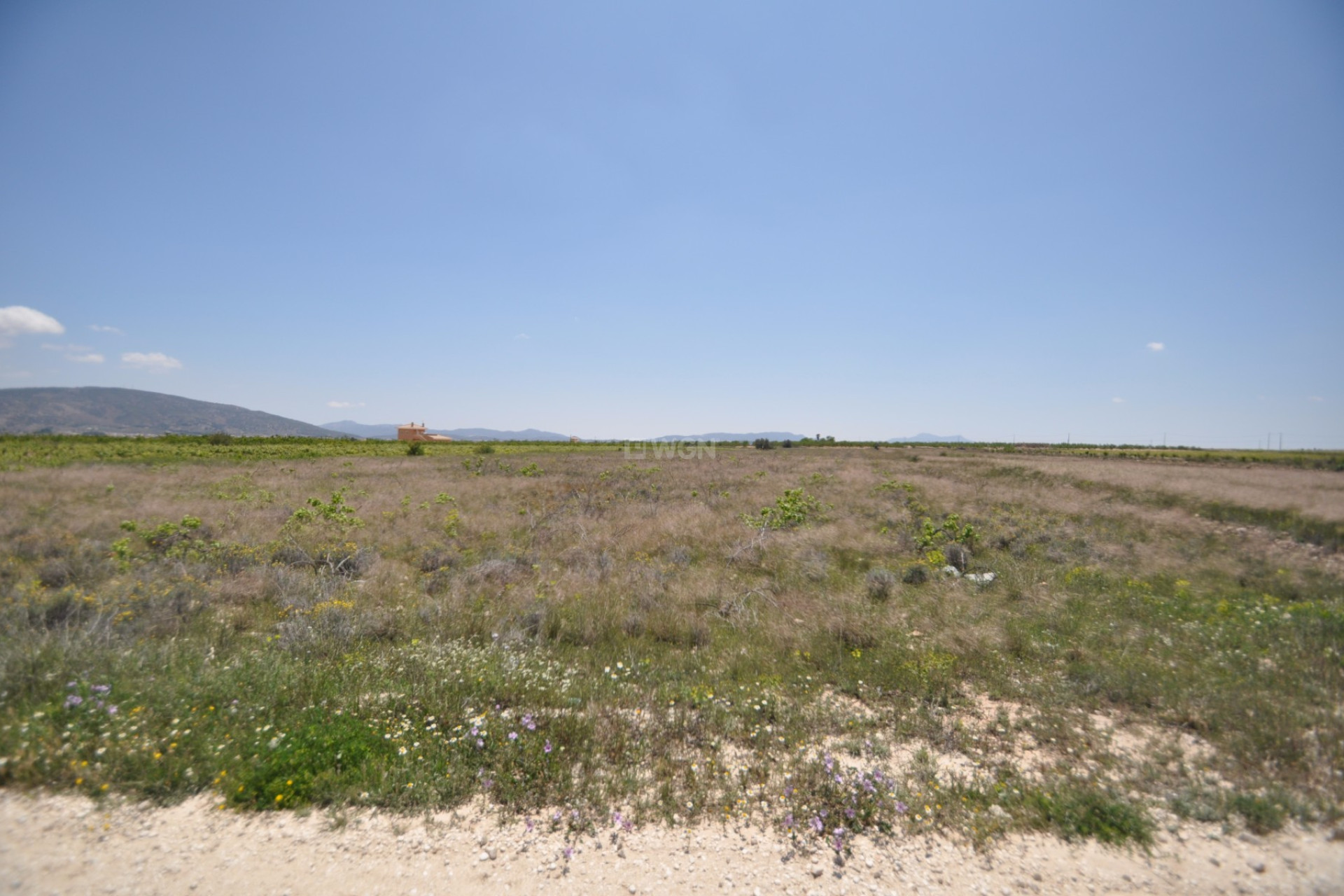 Reventa - Parcela / Terreno - Pinoso - Inland