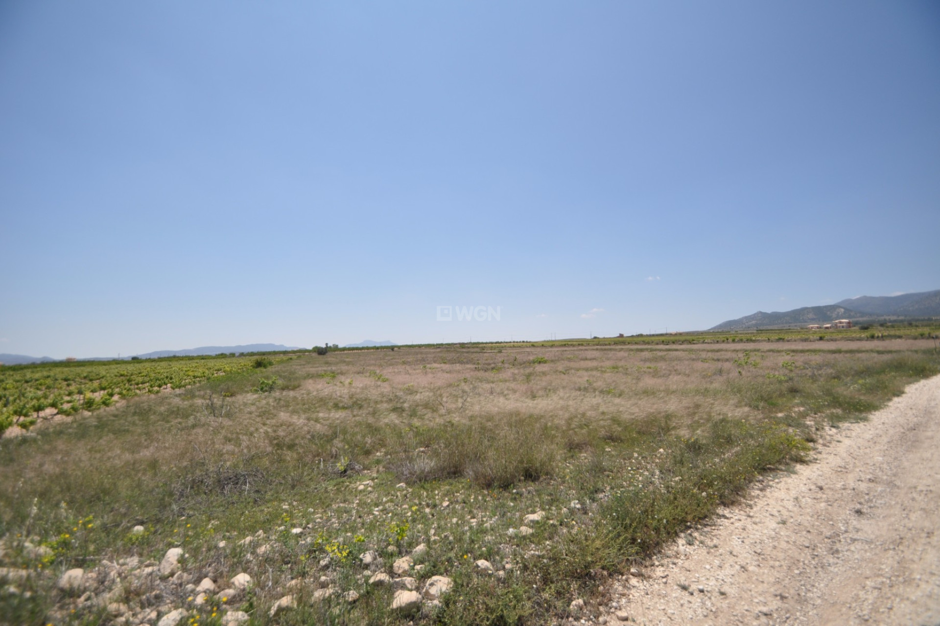 Reventa - Parcela / Terreno - Pinoso - Inland