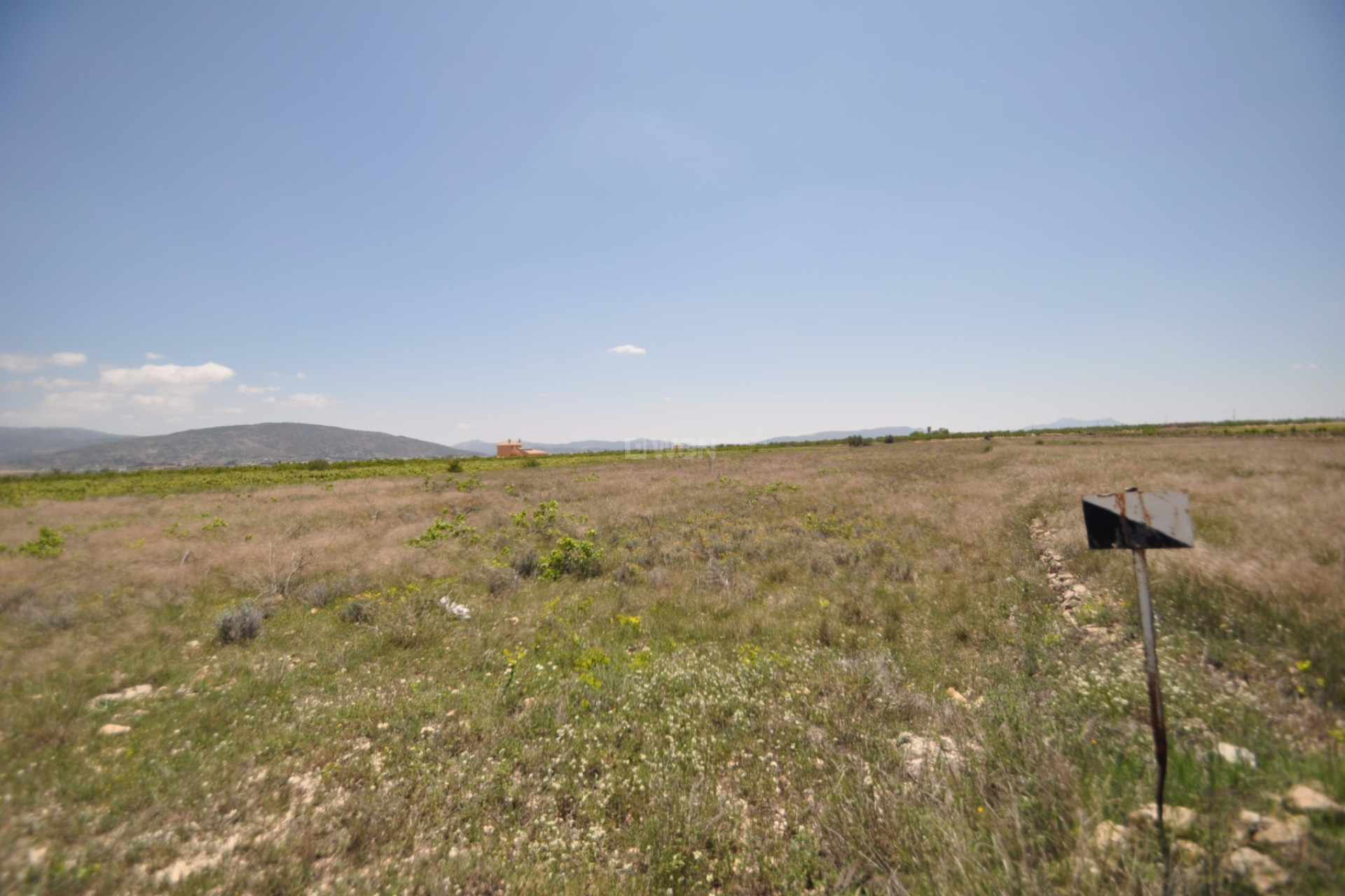 Reventa - Parcela / Terreno - Pinoso - Inland