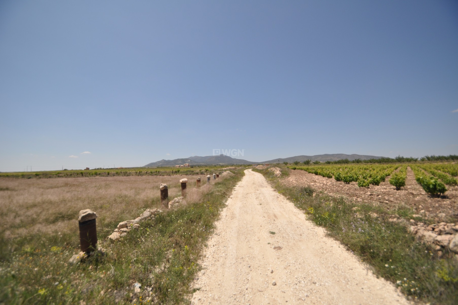 Reventa - Parcela / Terreno - Pinoso - Inland