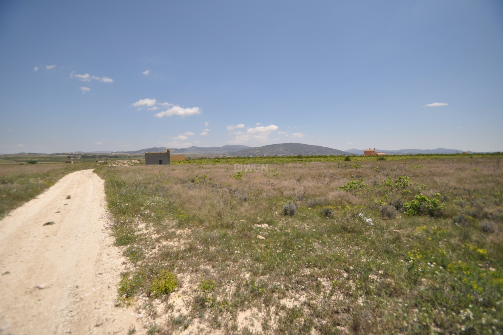 Reventa - Parcela / Terreno - Pinoso - Inland