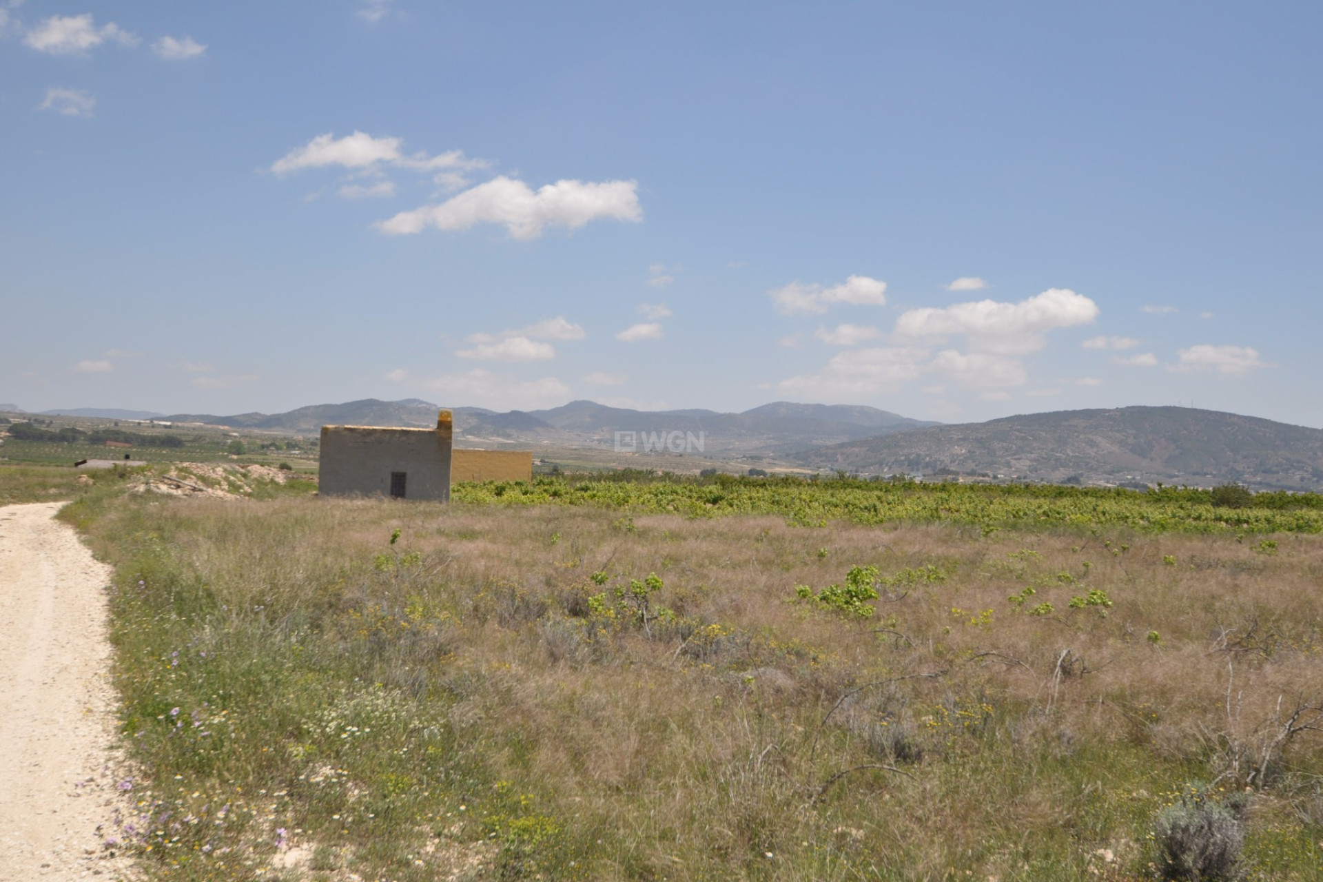 Reventa - Parcela / Terreno - Pinoso - Inland