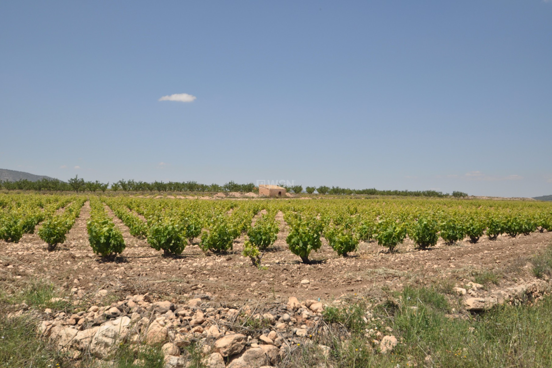 Reventa - Parcela / Terreno - Pinoso - Inland