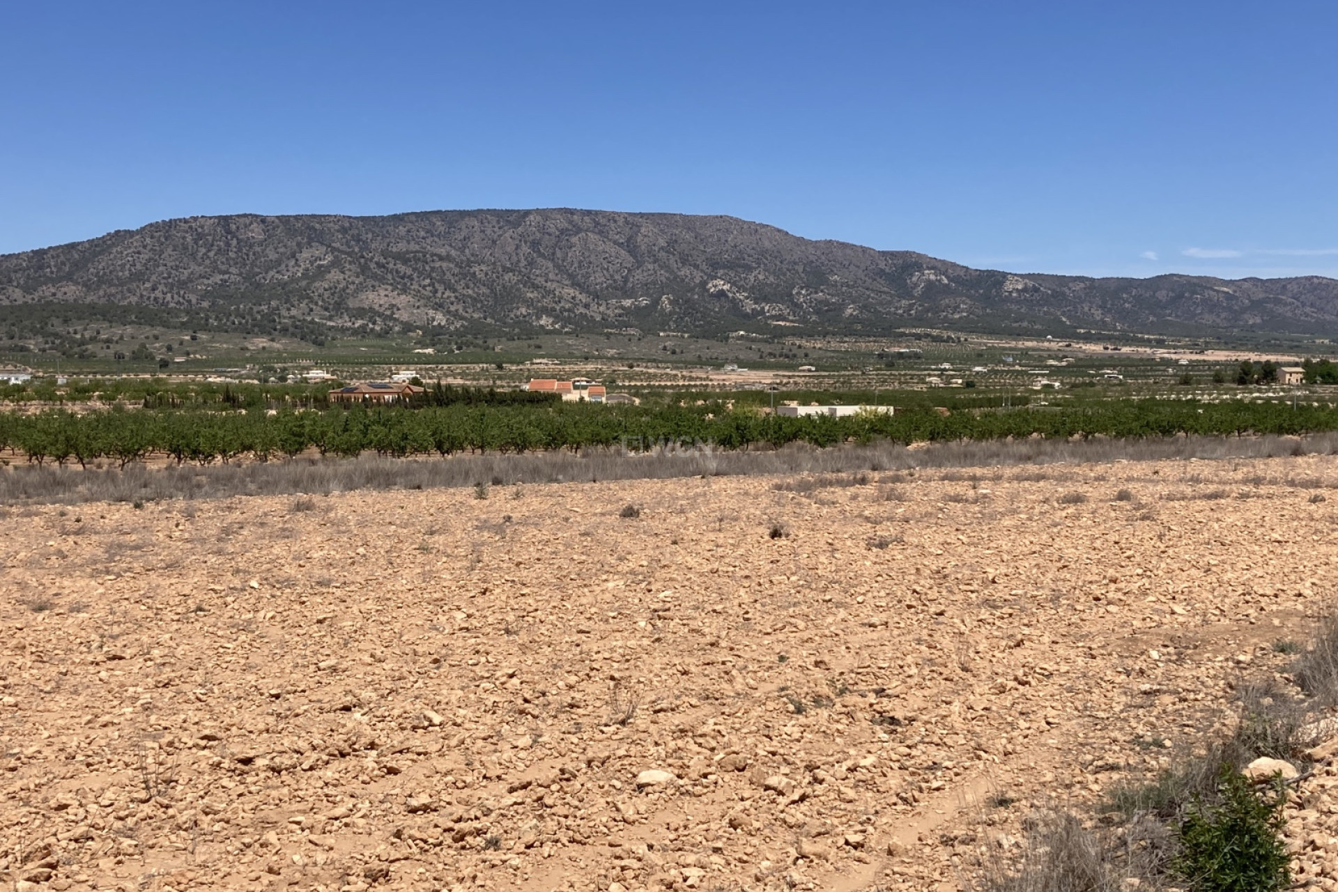 Reventa - Parcela / Terreno - Pinoso - Inland