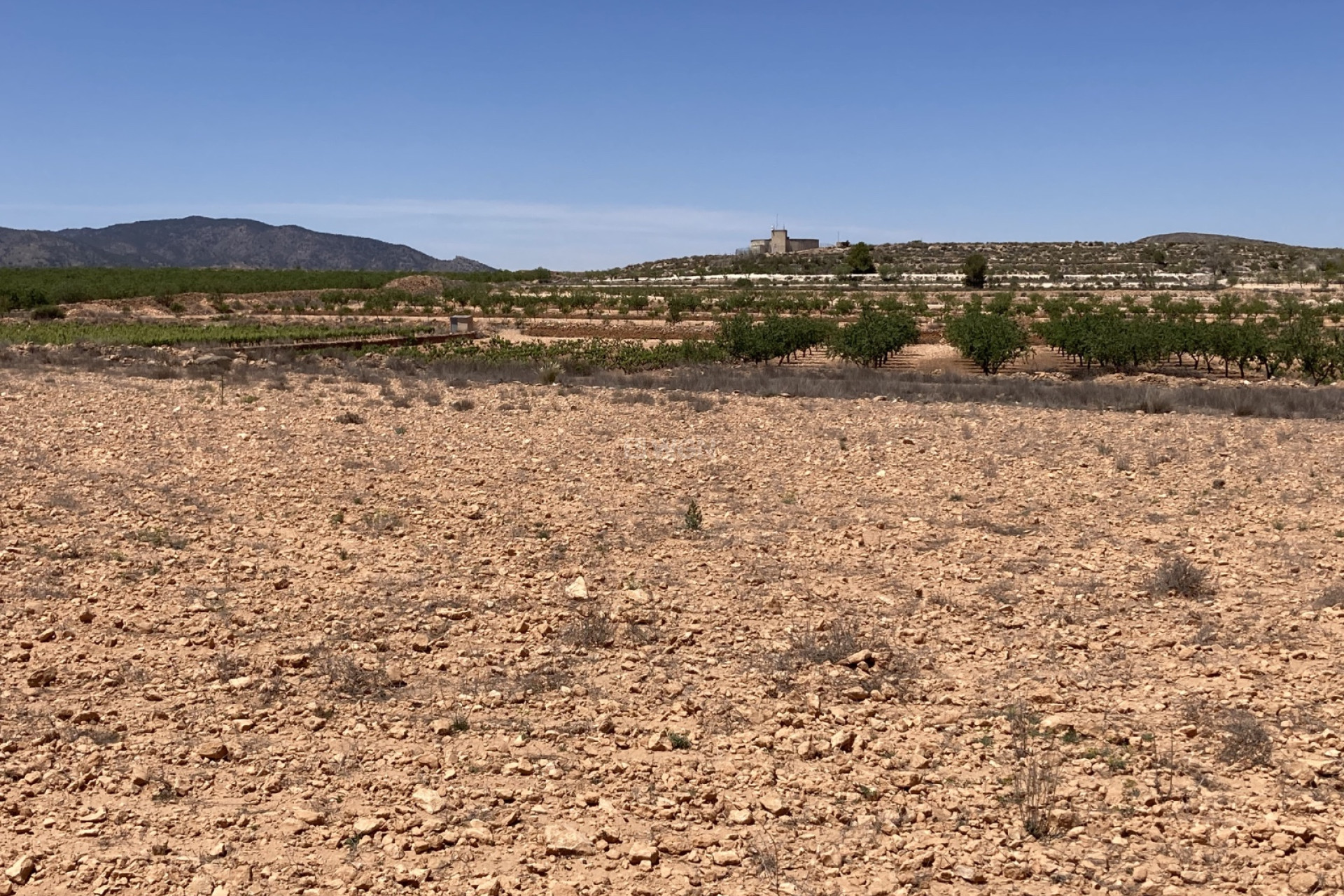 Reventa - Parcela / Terreno - Pinoso - Inland