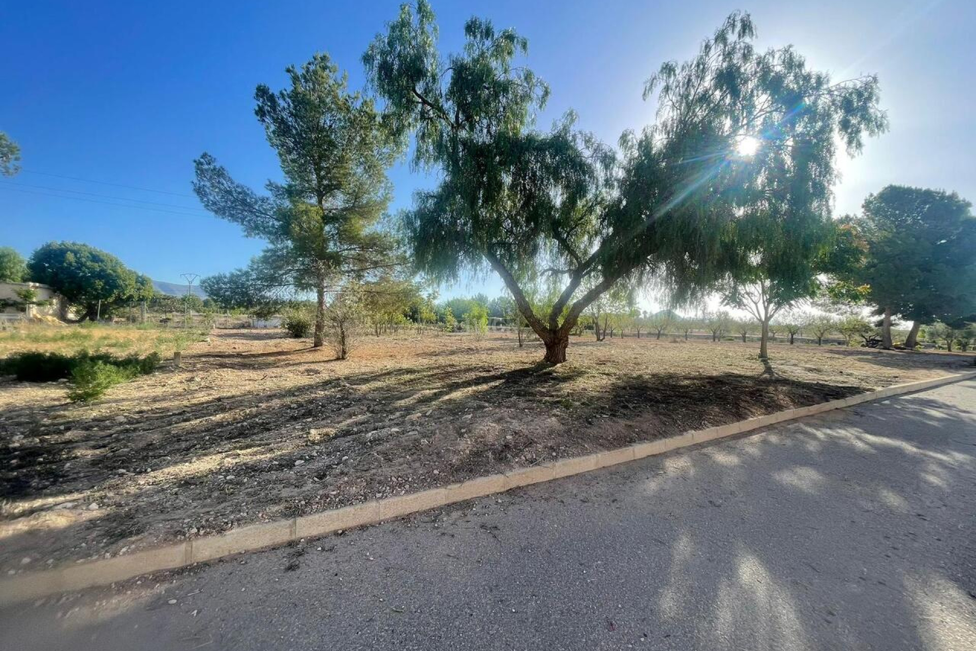 Reventa - Parcela / Terreno - Pinoso - Inland