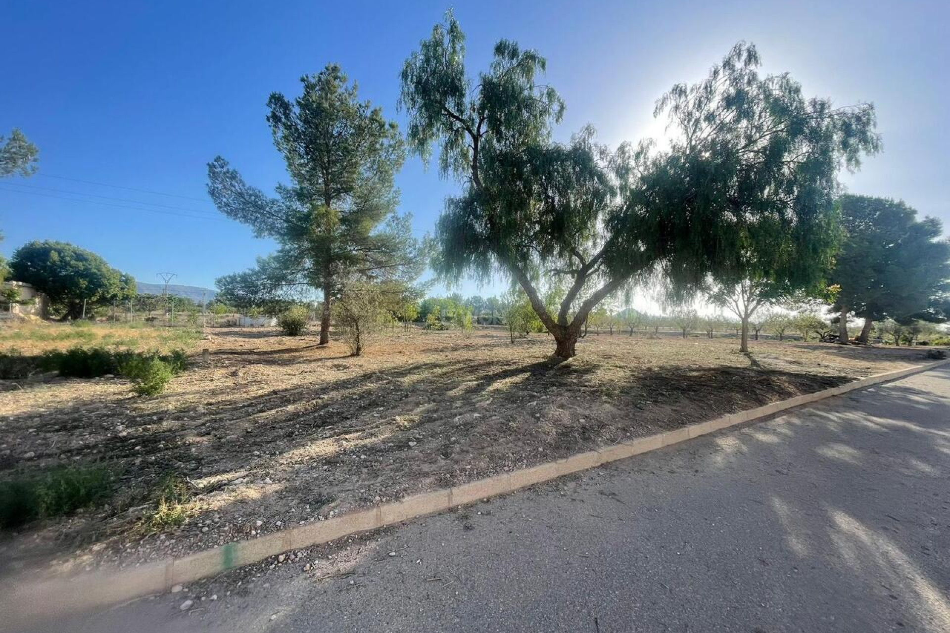 Reventa - Parcela / Terreno - Pinoso - Inland