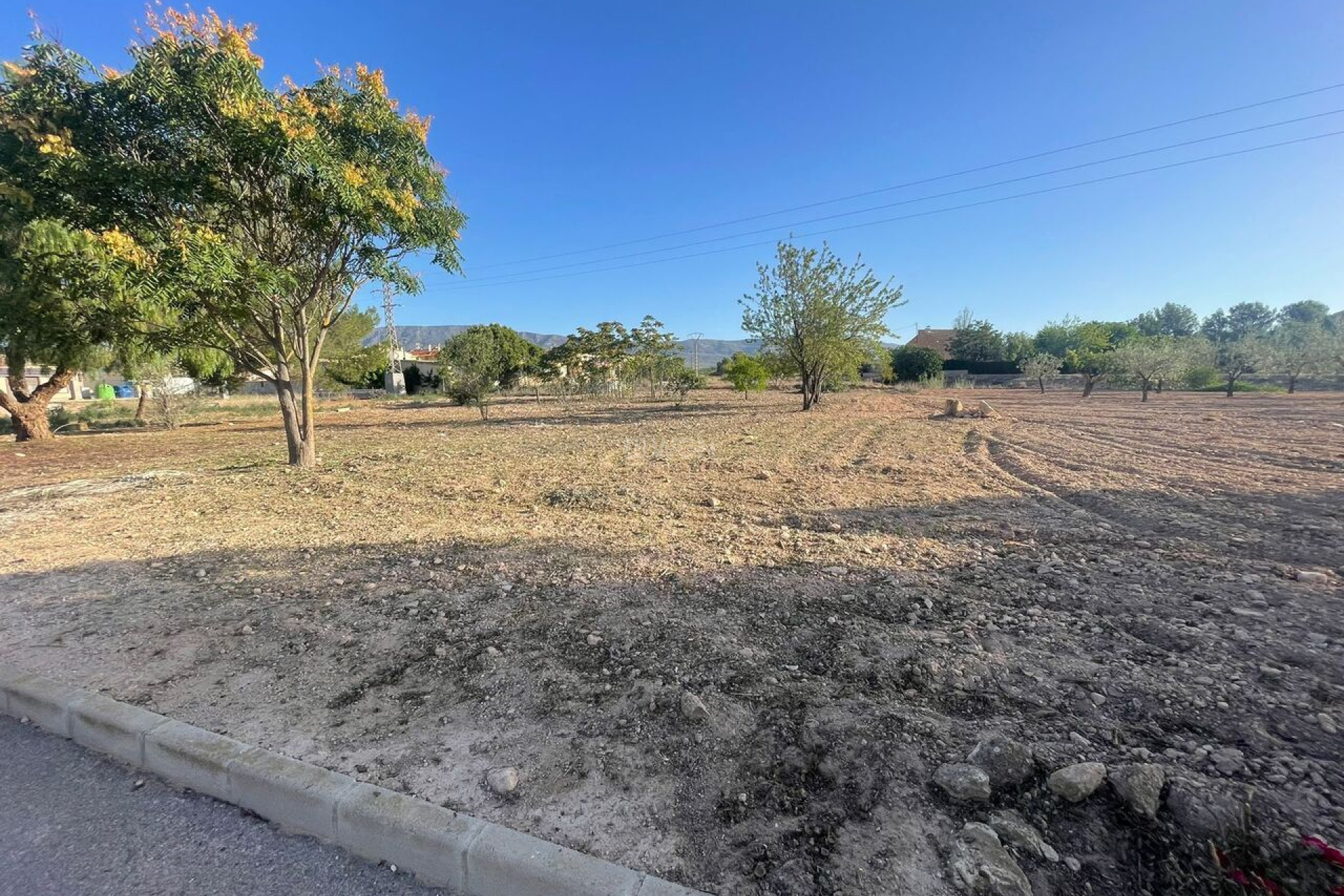 Reventa - Parcela / Terreno - Pinoso - Inland