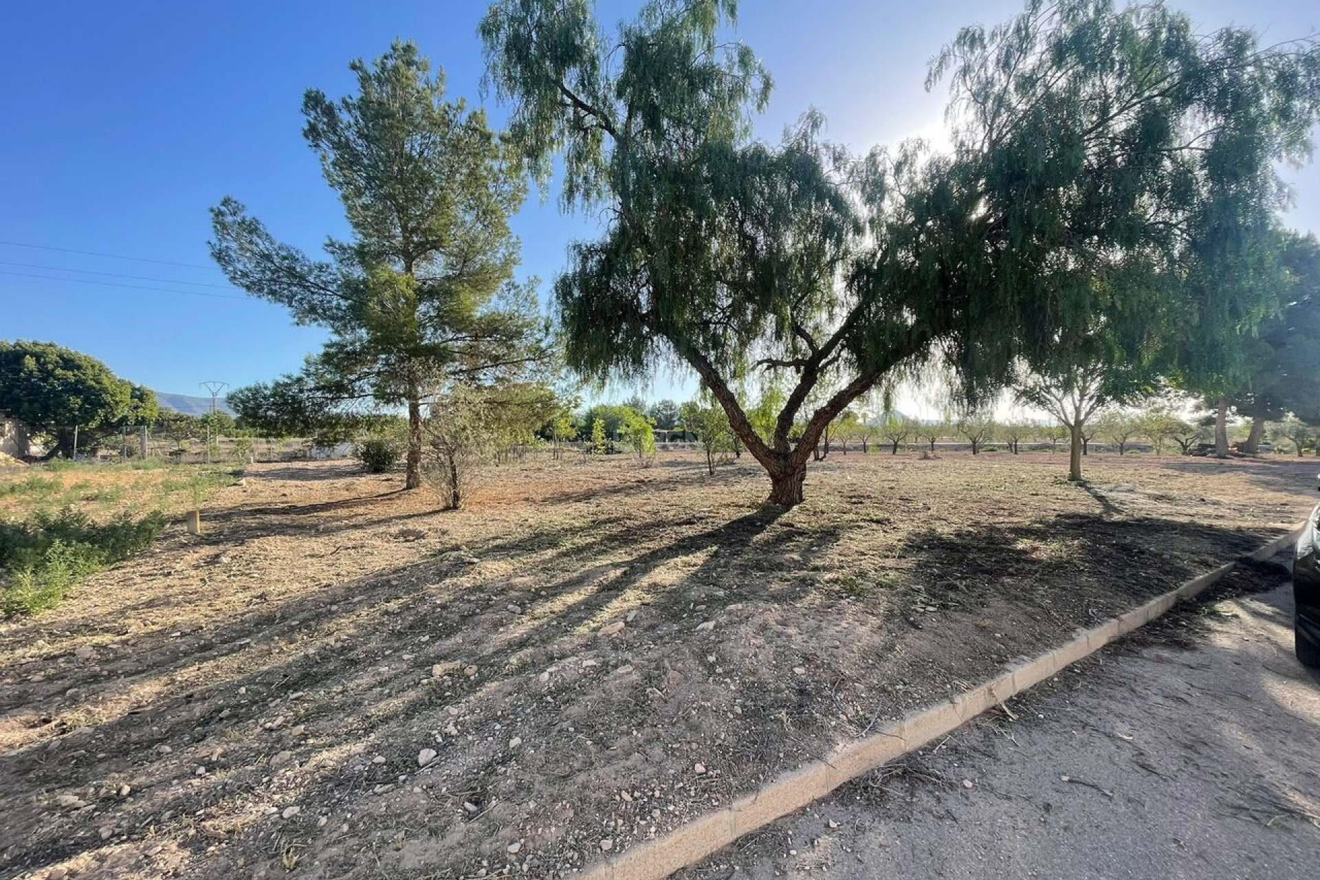 Reventa - Parcela / Terreno - Pinoso - Inland