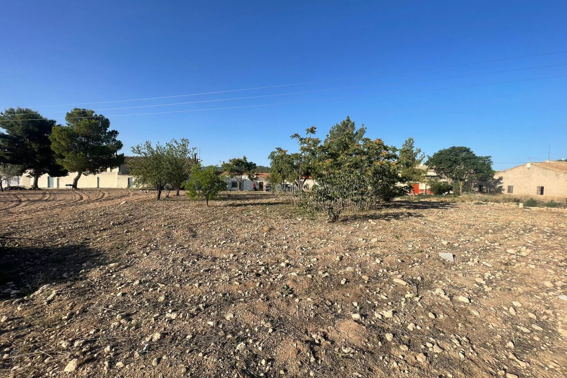 Reventa - Parcela / Terreno - Pinoso - Inland