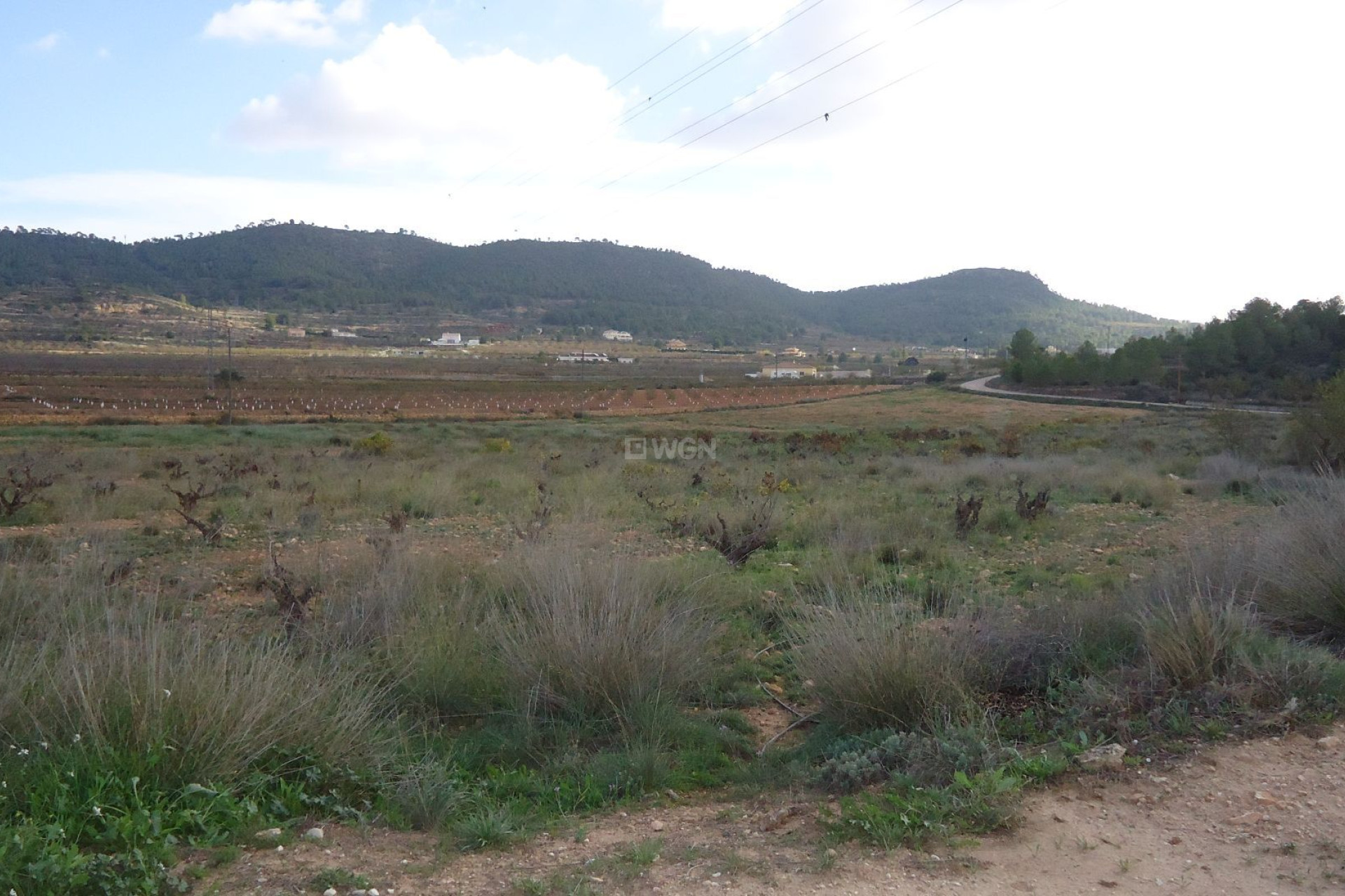 Reventa - Parcela / Terreno - Pinoso - Inland