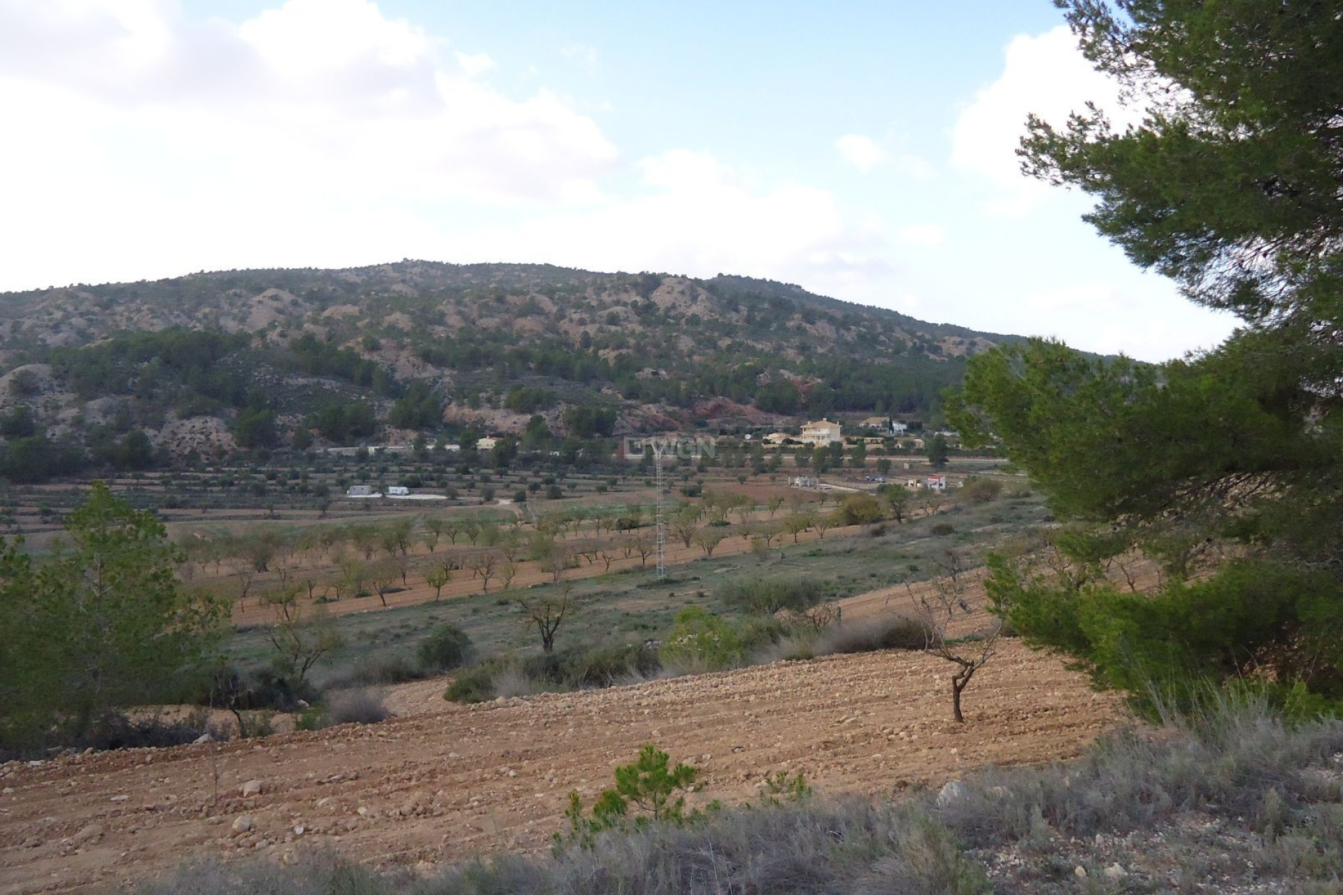 Reventa - Parcela / Terreno - Pinoso - Inland