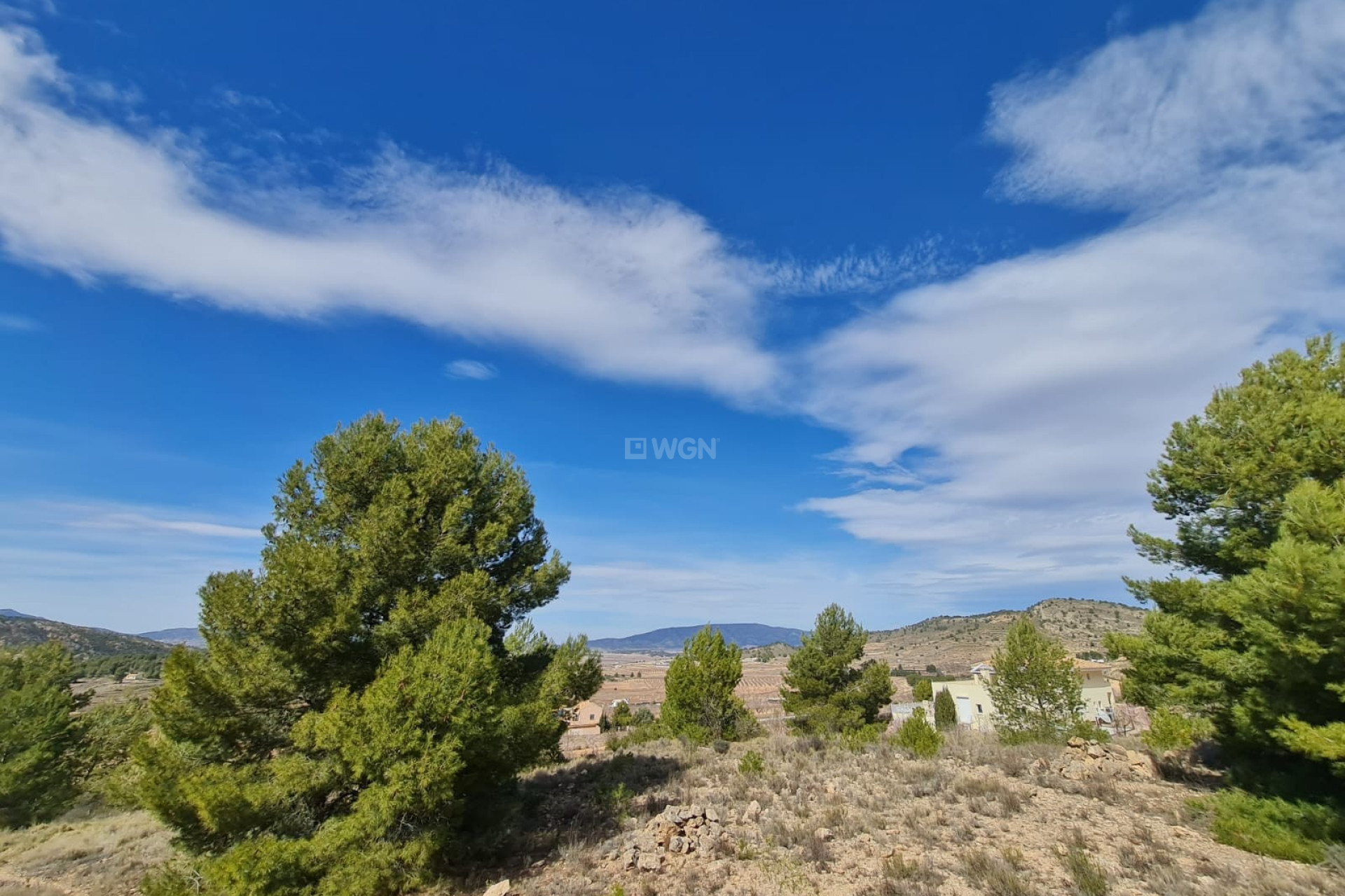 Reventa - Parcela / Terreno - Pinoso - Inland