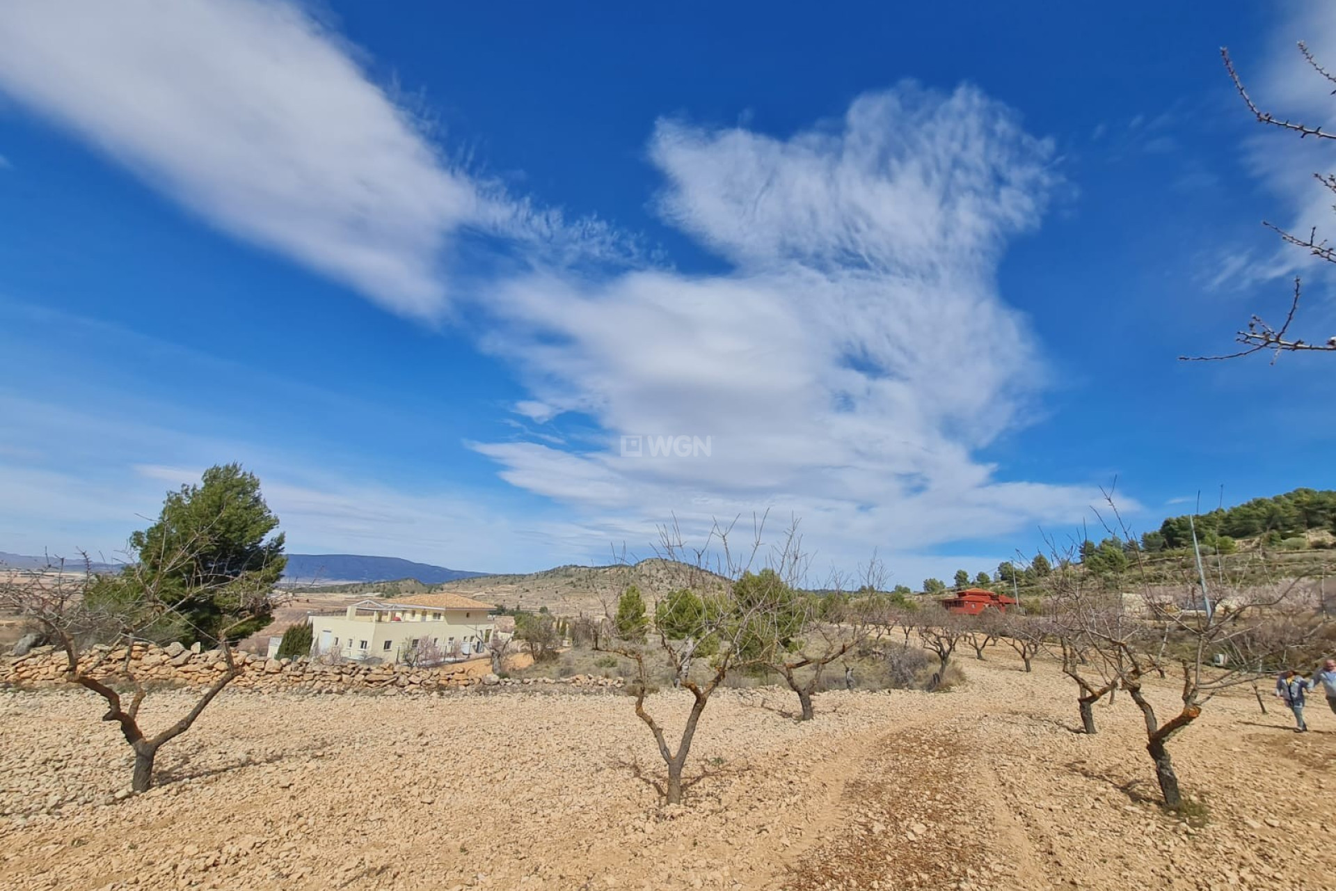 Reventa - Parcela / Terreno - Pinoso - Inland