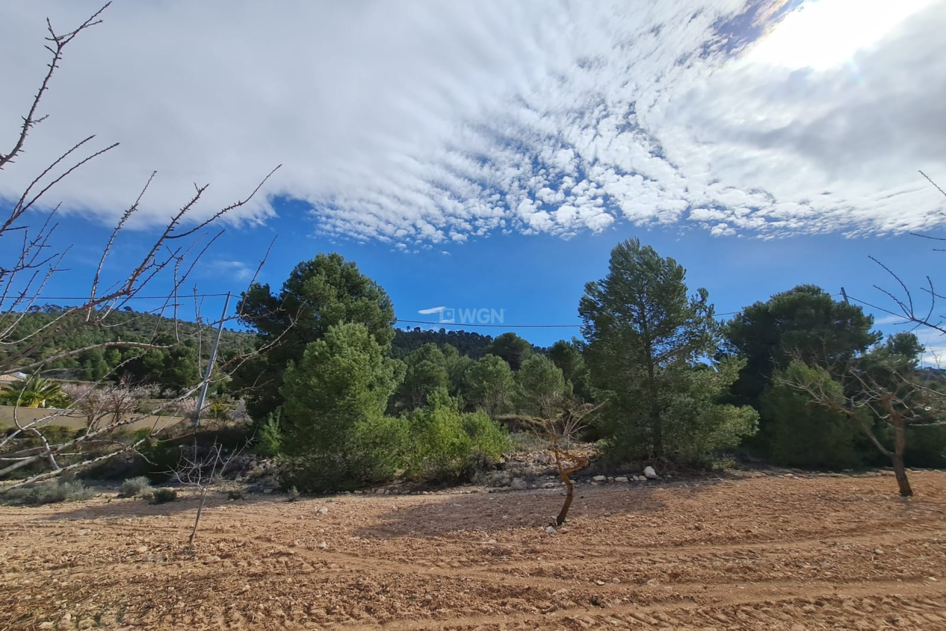 Reventa - Parcela / Terreno - Pinoso - Inland